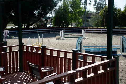 View of an outdoor horse riding arena with white and blue jumps, shaded by trees, as seen from a wooden deck with a chair in the foreground.
