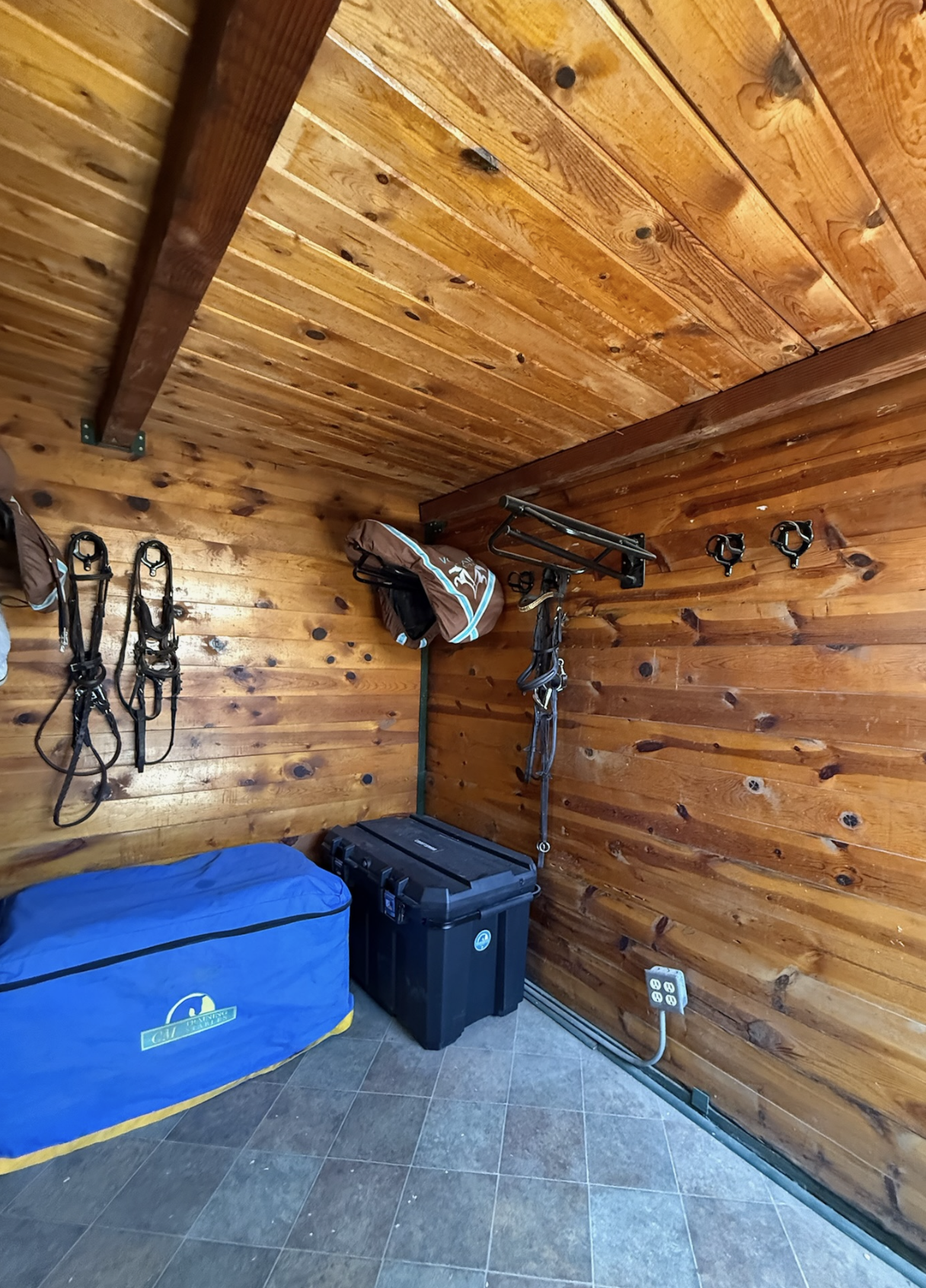 Corner of a wooden room with mounted horse riding equipment, a blue storage bag, a black storage container, and a power strip on the floor.