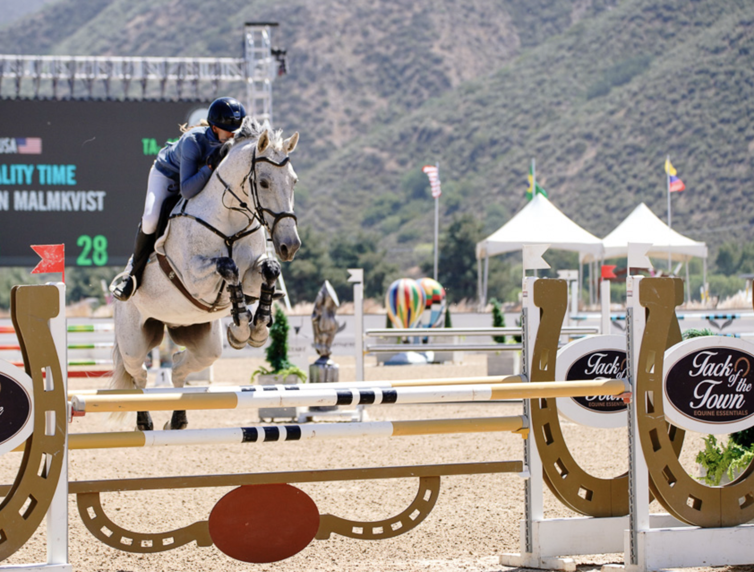 A person riding a gray horse jumping over a horse obstacle during an equestrian event.