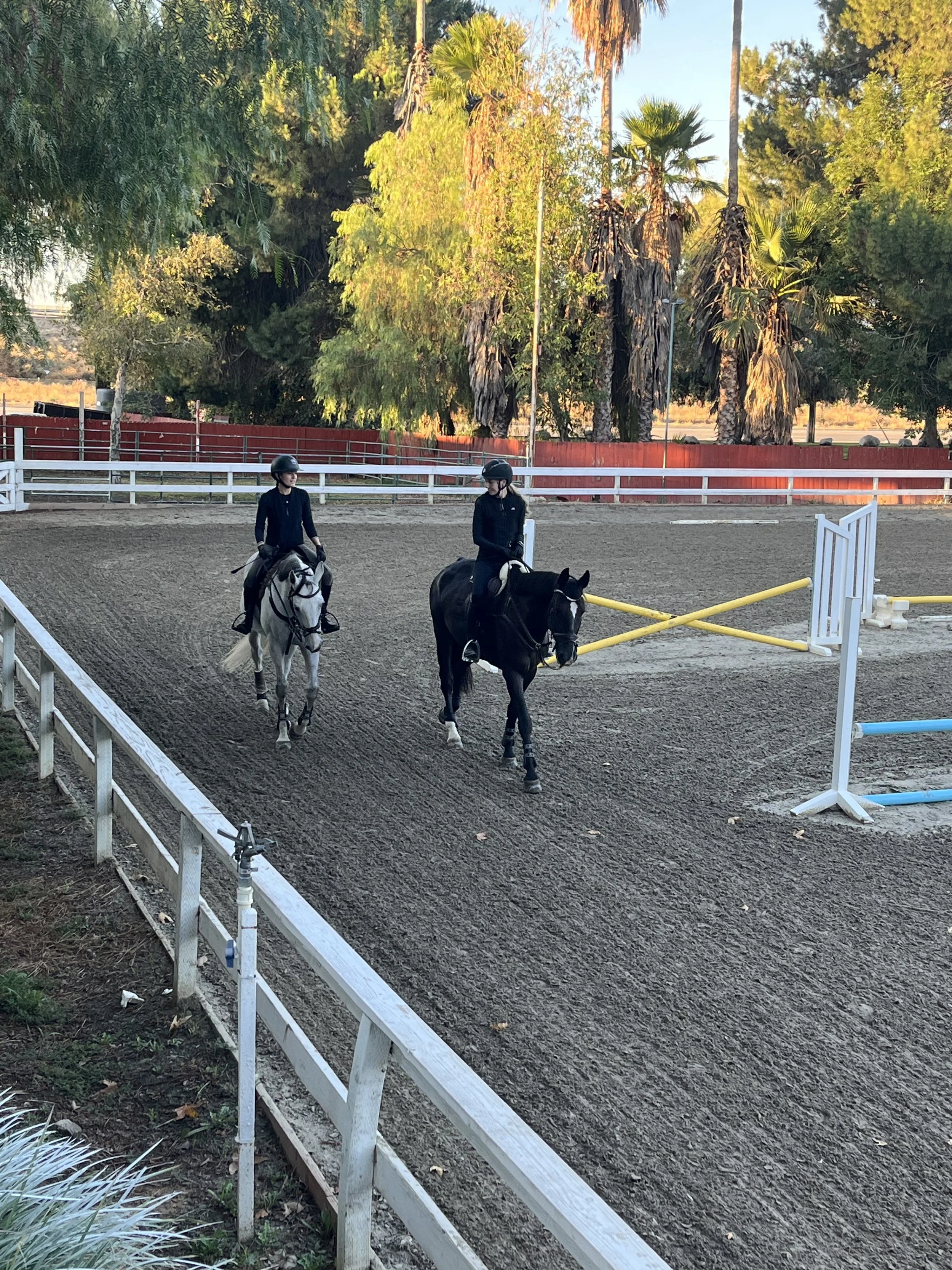 Two women riding horses on a riding arena, wearing black helmets and dark clothing, with colorful trees and a blue sky in the background.