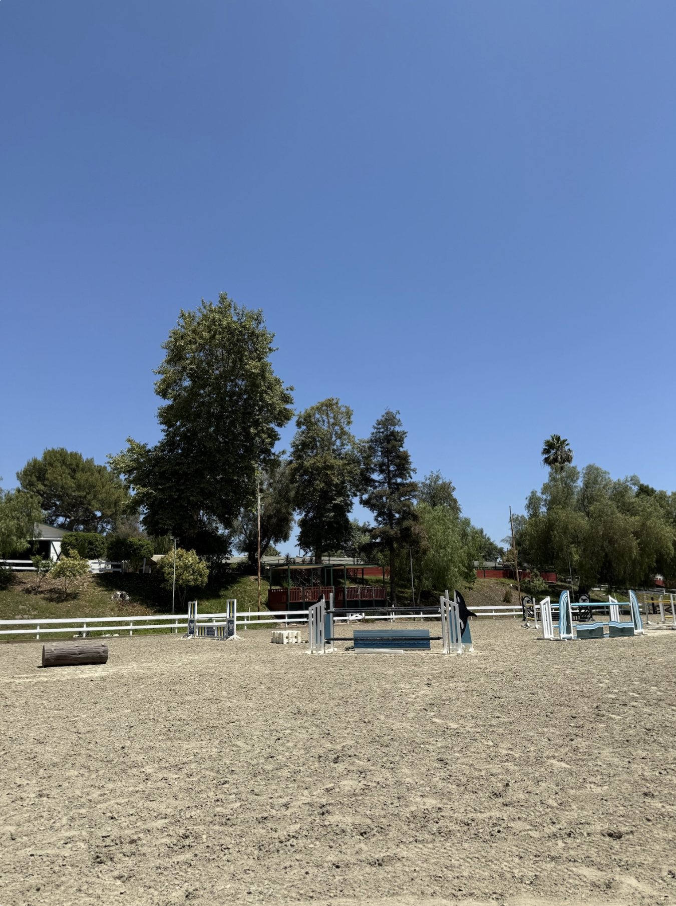 An outdoor equestrian riding arena with show jumping obstacles, surrounded by a white fence and lush green trees in the background under a clear blue sky.