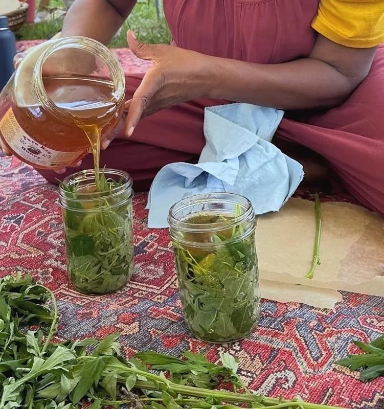 Person pouring honey into jars filled with fresh herbs on a patterned cloth.