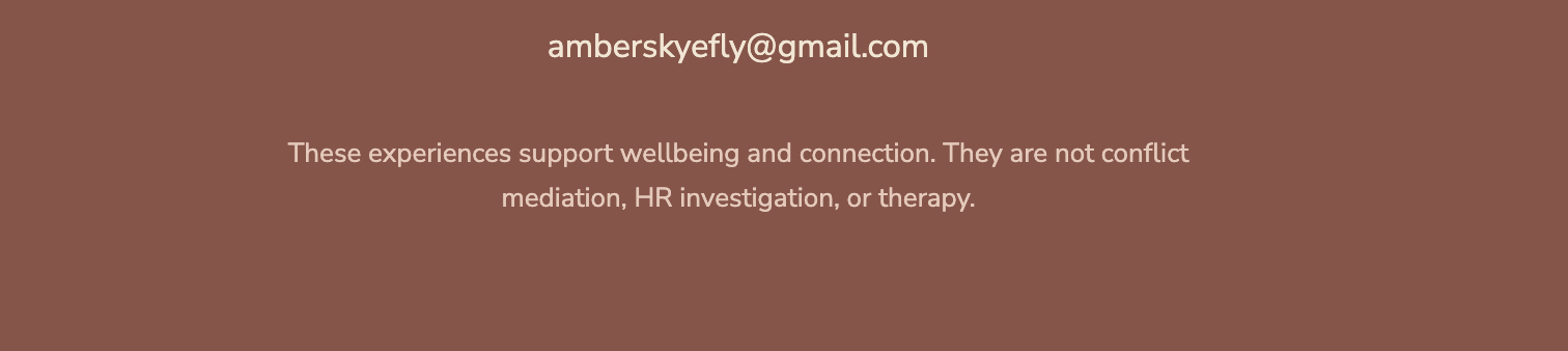 Text message with the email address amberskyefly@gmail.com and a statement about experiences supporting wellbeing and connection, non-conflict mediation, HR investigation, and therapy.