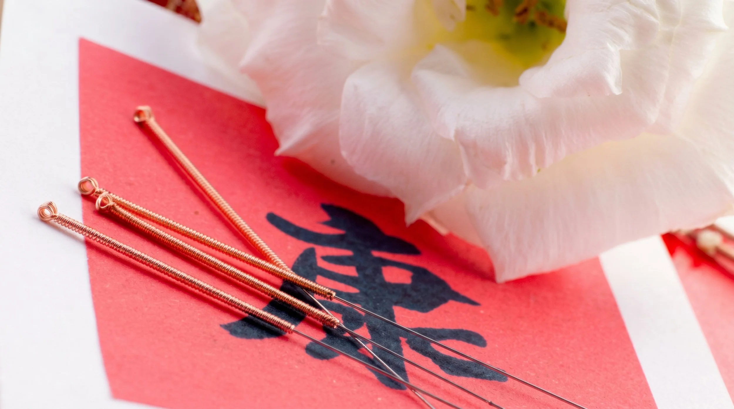 Close-up of acupuncture needles on a red surface beside a pale pink flower.