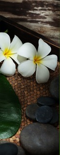 White frangipani flowers, green leaf, woven mat, and smooth dark stones in a spa arrangement