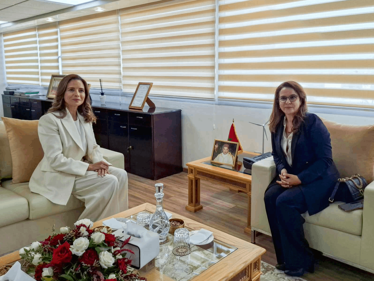 Morocco Appoints H.E. Charafat Afailal as New Minister of Energy, Mines and Sustainable Development