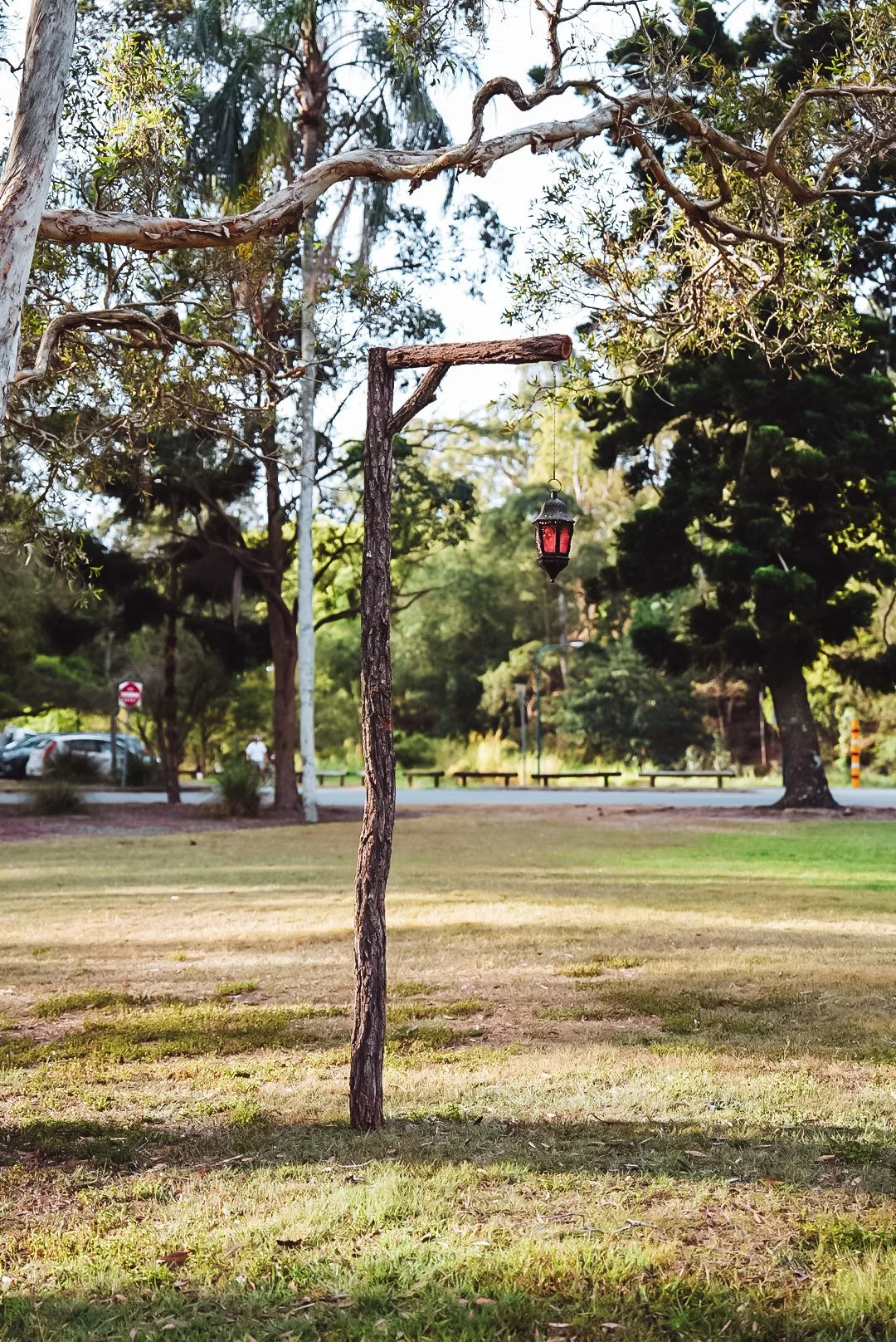 Forest Magic Lamp Posts