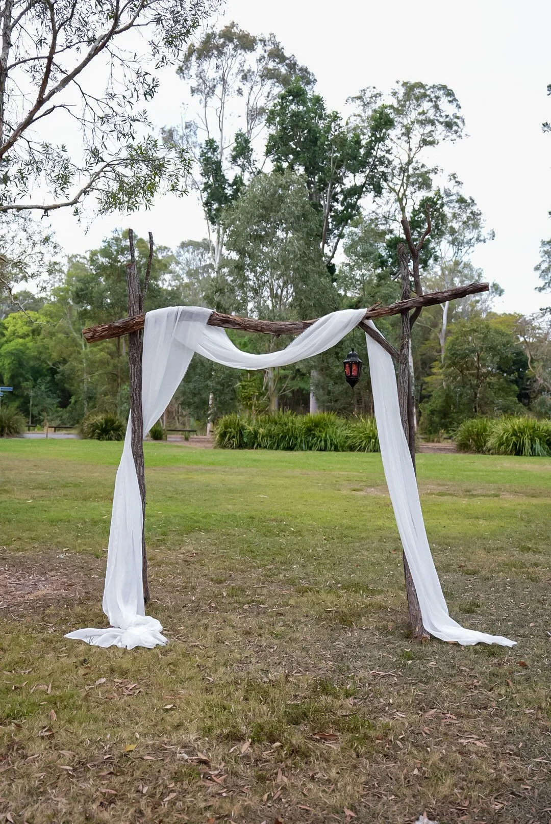 Enchanted Ironbark Arch