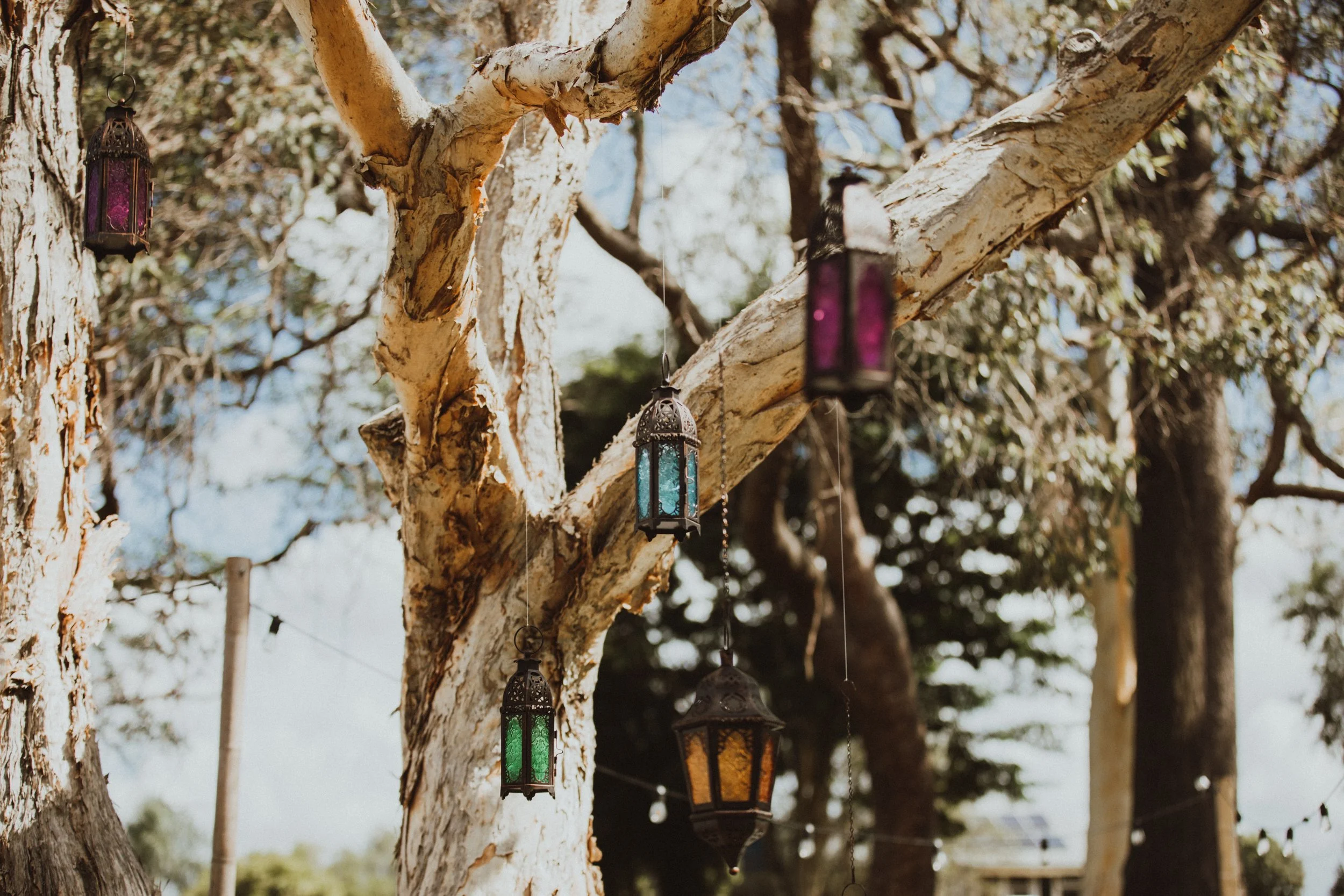 Wanderer's Lanterns
