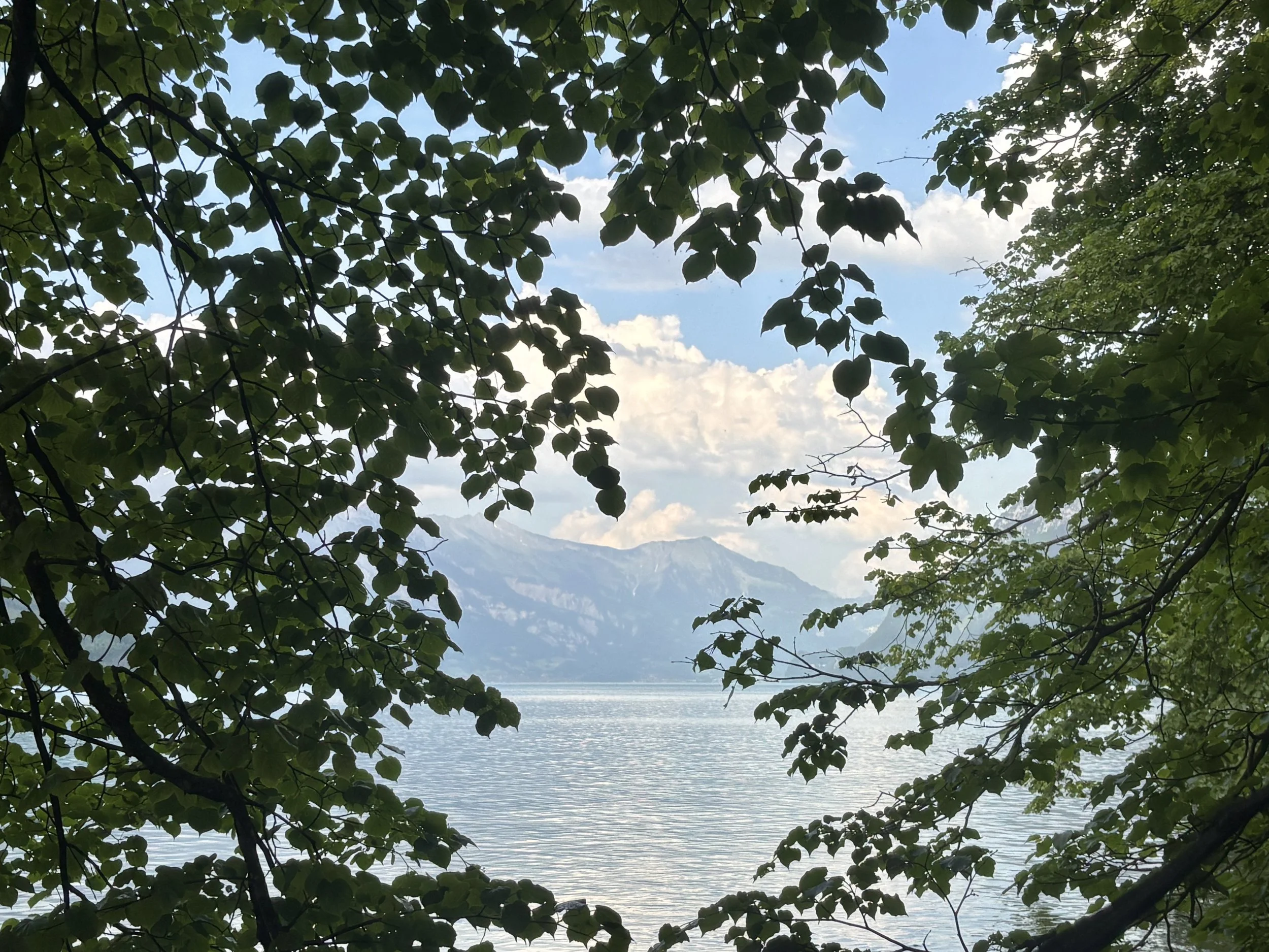 IMG_4078.jpg