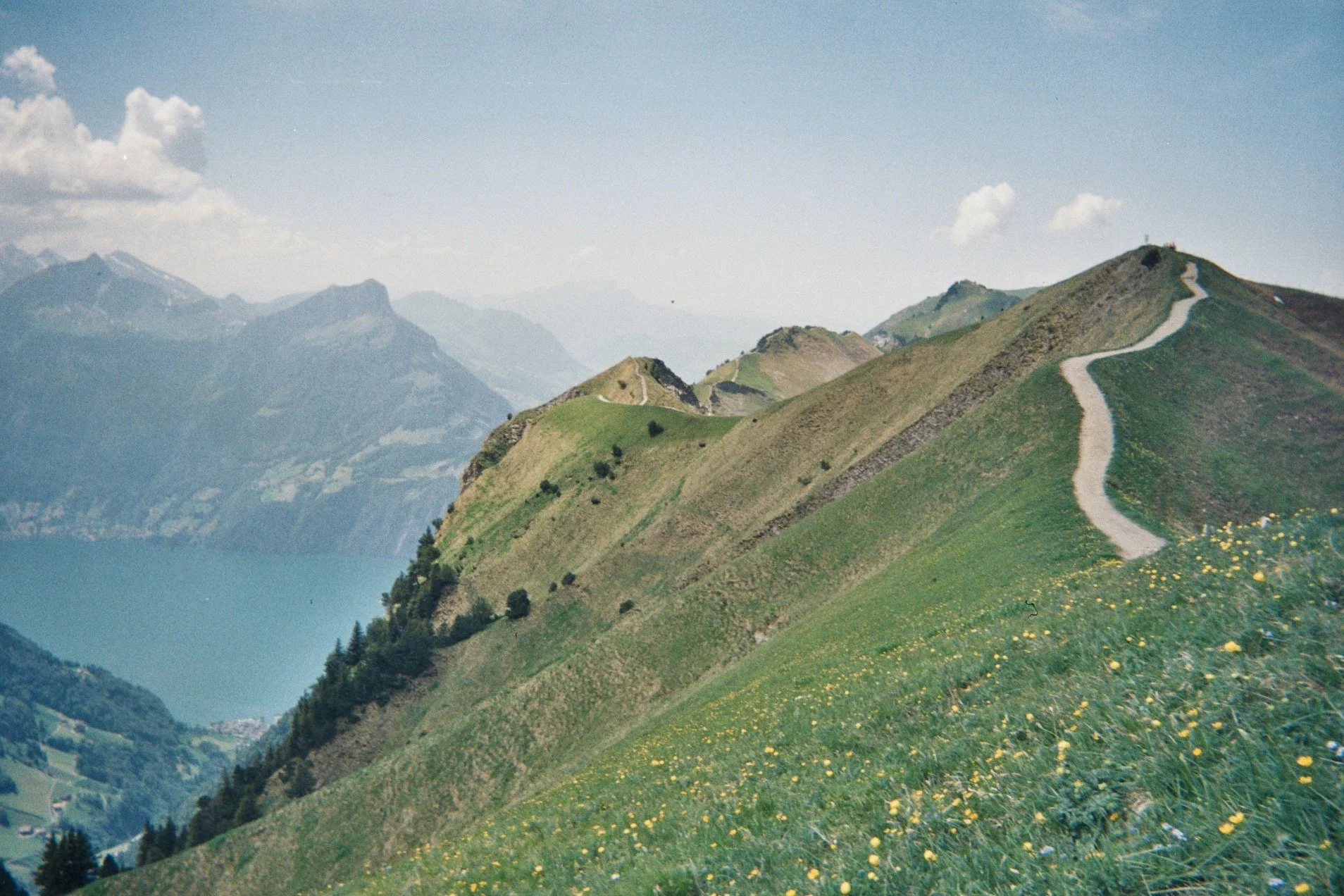 IMG_5880.jpg