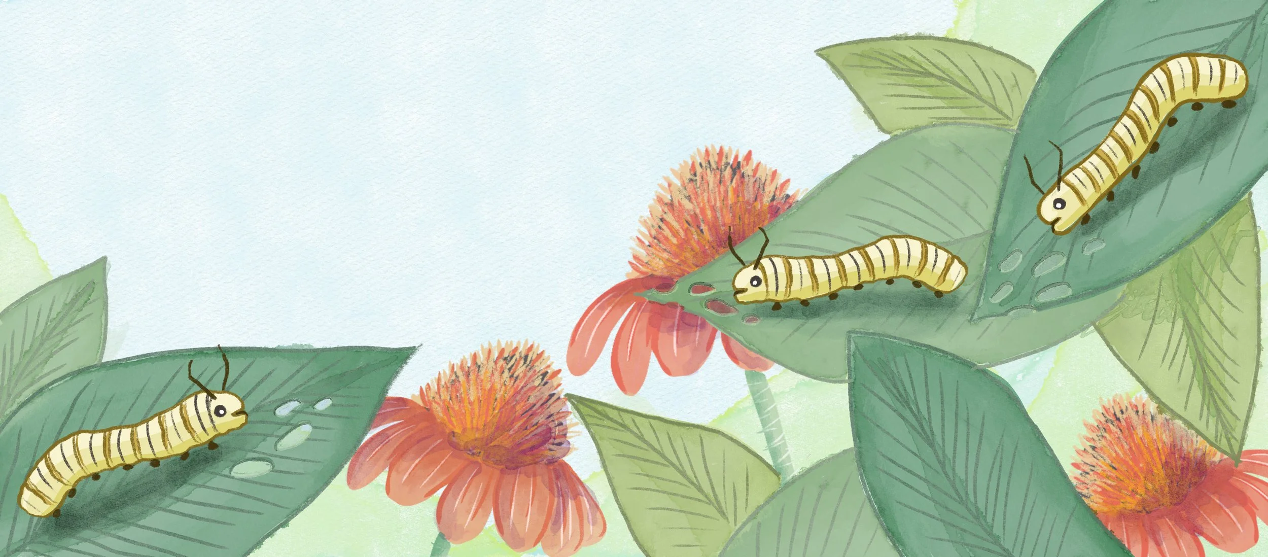 3-caterpillars.jpg