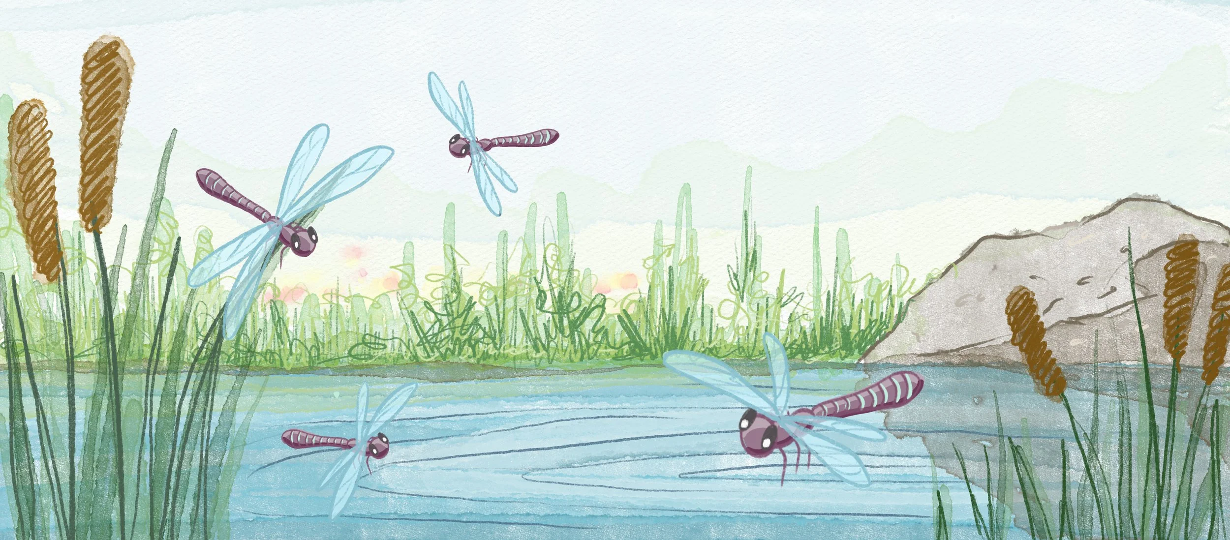 4-dragonflies.jpg