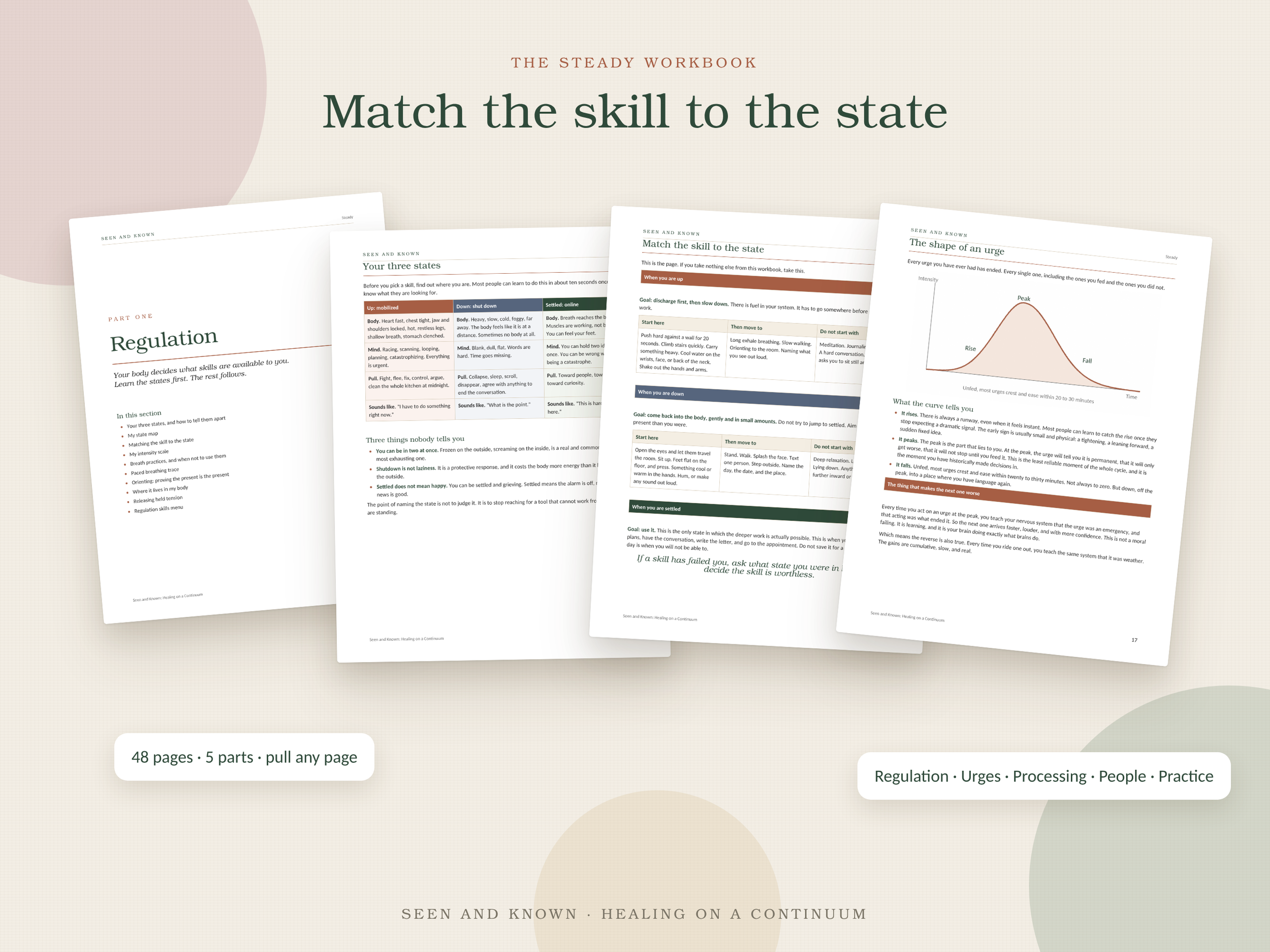 Regulation Bundle 04_steady.png