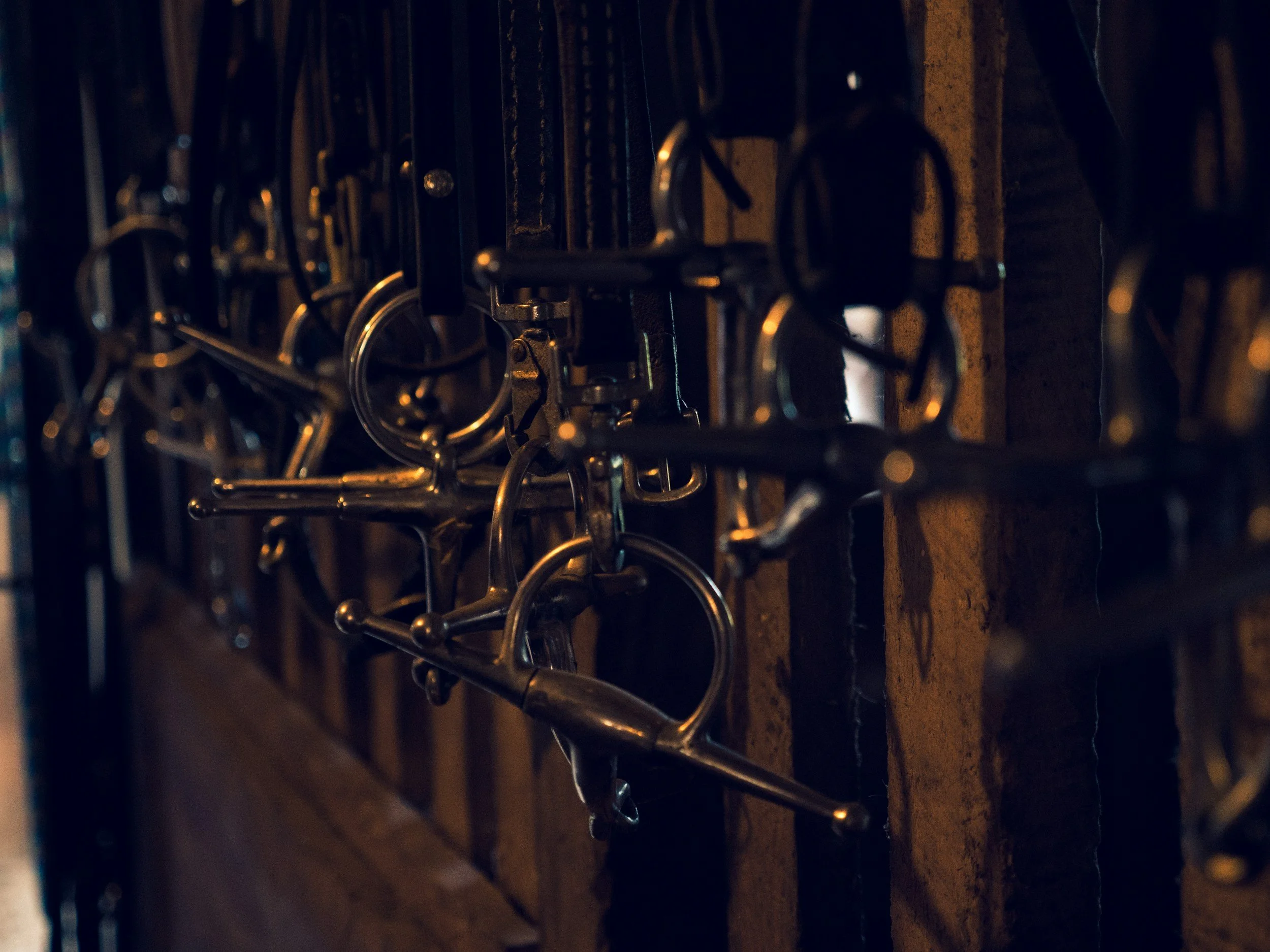 A row of metal hooks and rings hanging from a wooden wall, with dark shadows and some light reflections.