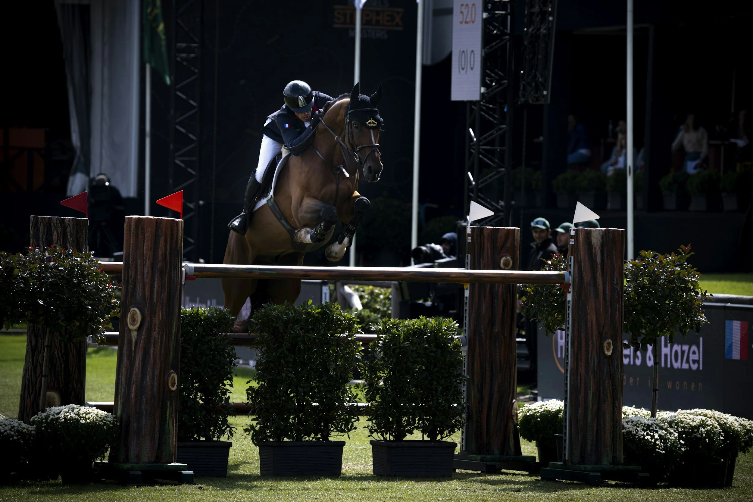 Equestrian sports scene with rider jumping over an obstacle, wearing a helmet with a French flag patch, on a brown horse, in a competition setting with a scoreboard and spectators in the background.