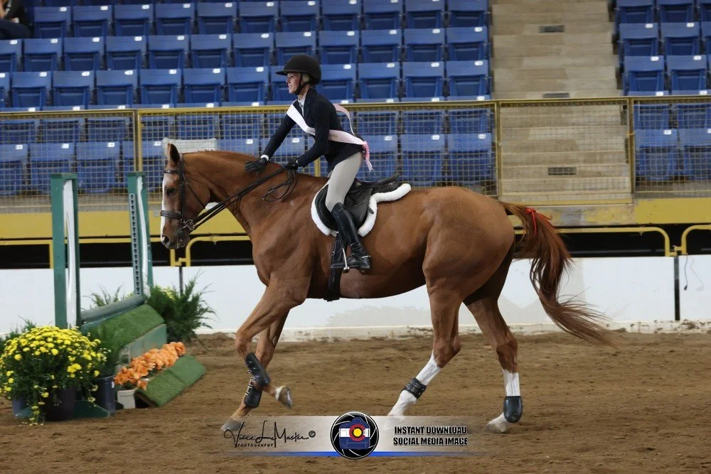 A rider in equestrian attire guiding a brown horse during a show jumping competition inside an arena with empty bleachers in the background.