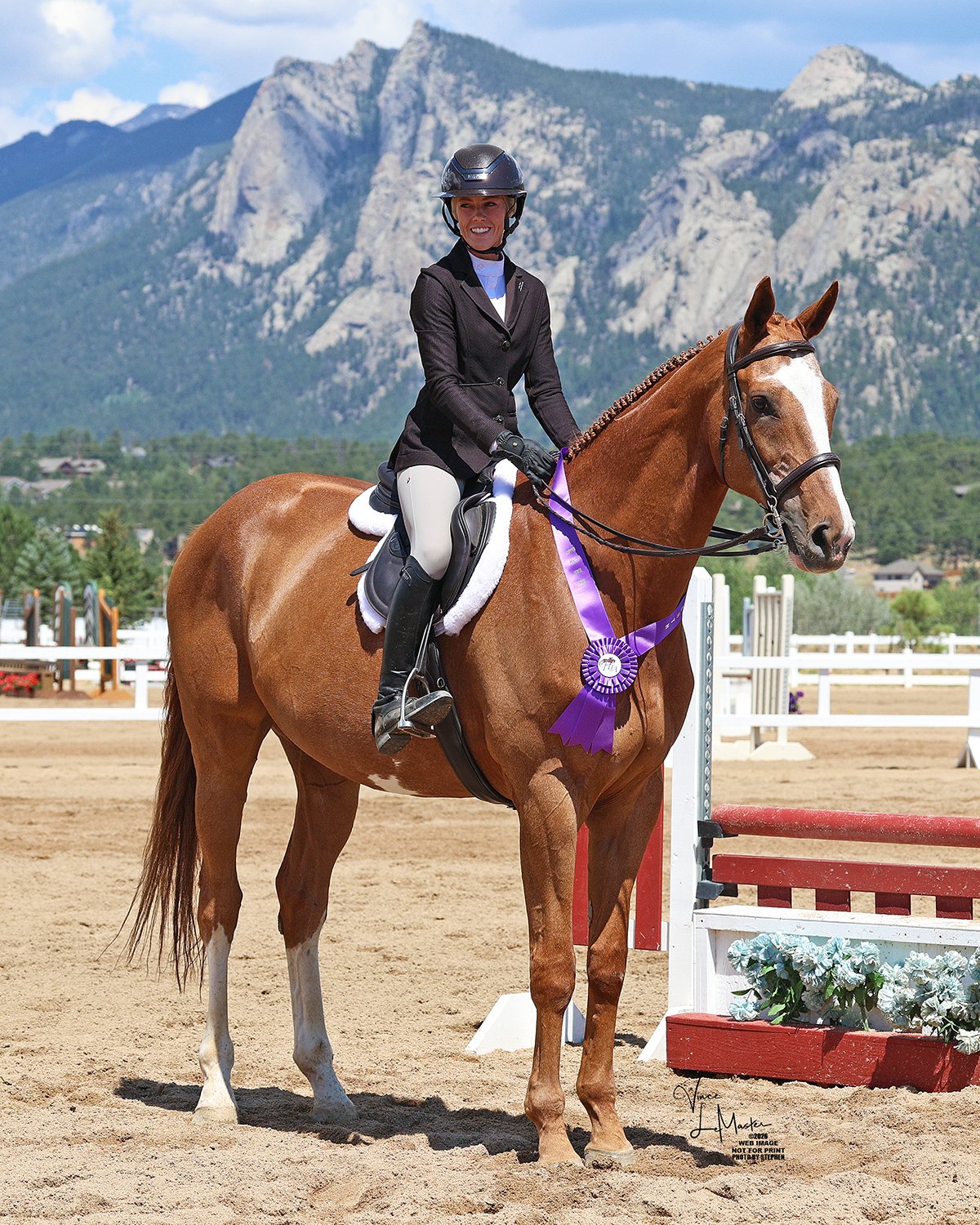 Woman riding a chestnut horse with a purple ribbon at an equestrian jumping event in an outdoor arena with mountains in the background.