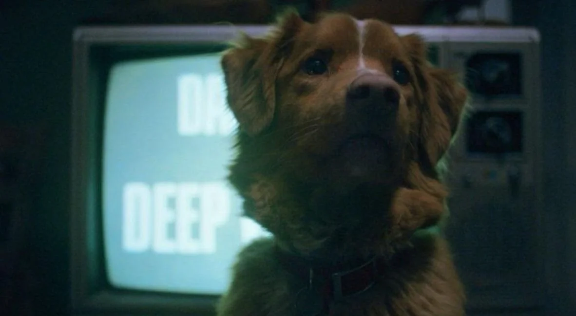 Good Boy: A New Horror Film Told in a Dog's Perspective