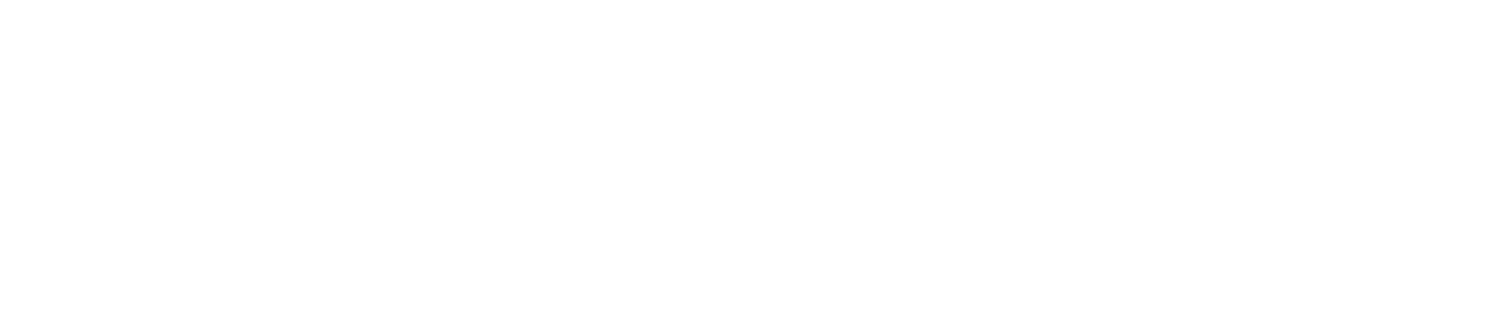 BLACKWOOD AVIATION GROUP