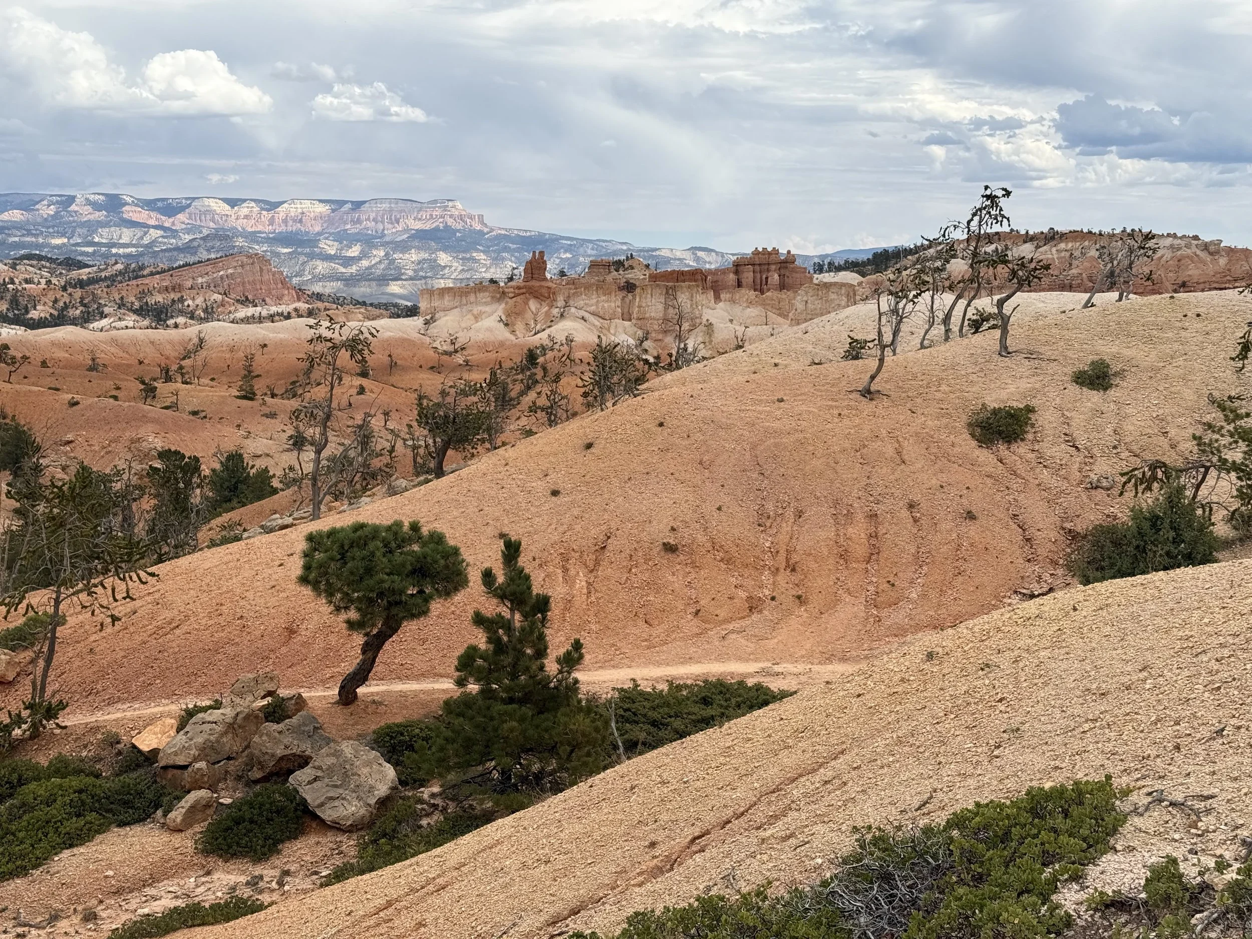 Back to the Utah desert