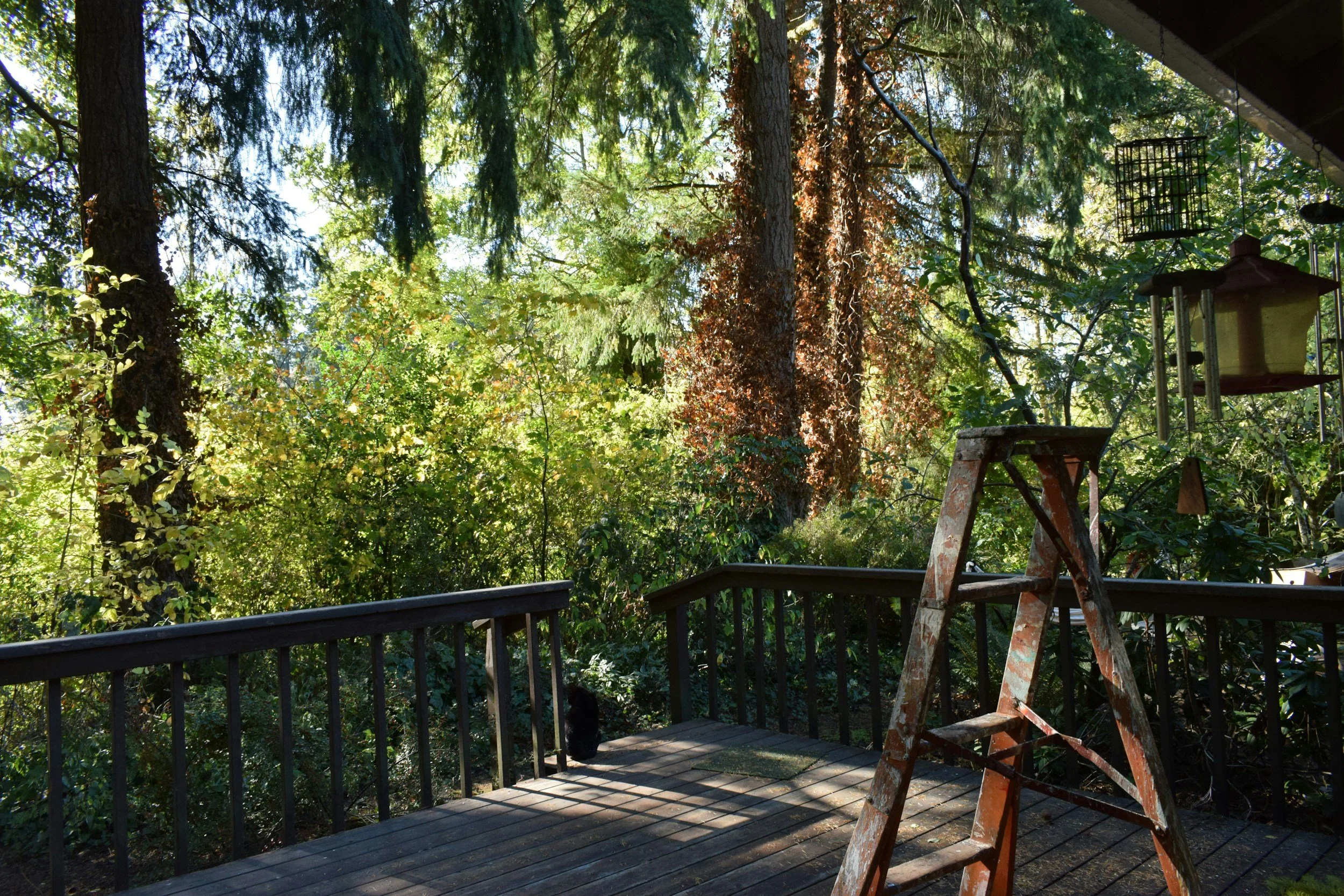 Deck maintenance: keeping your deck looking its best
