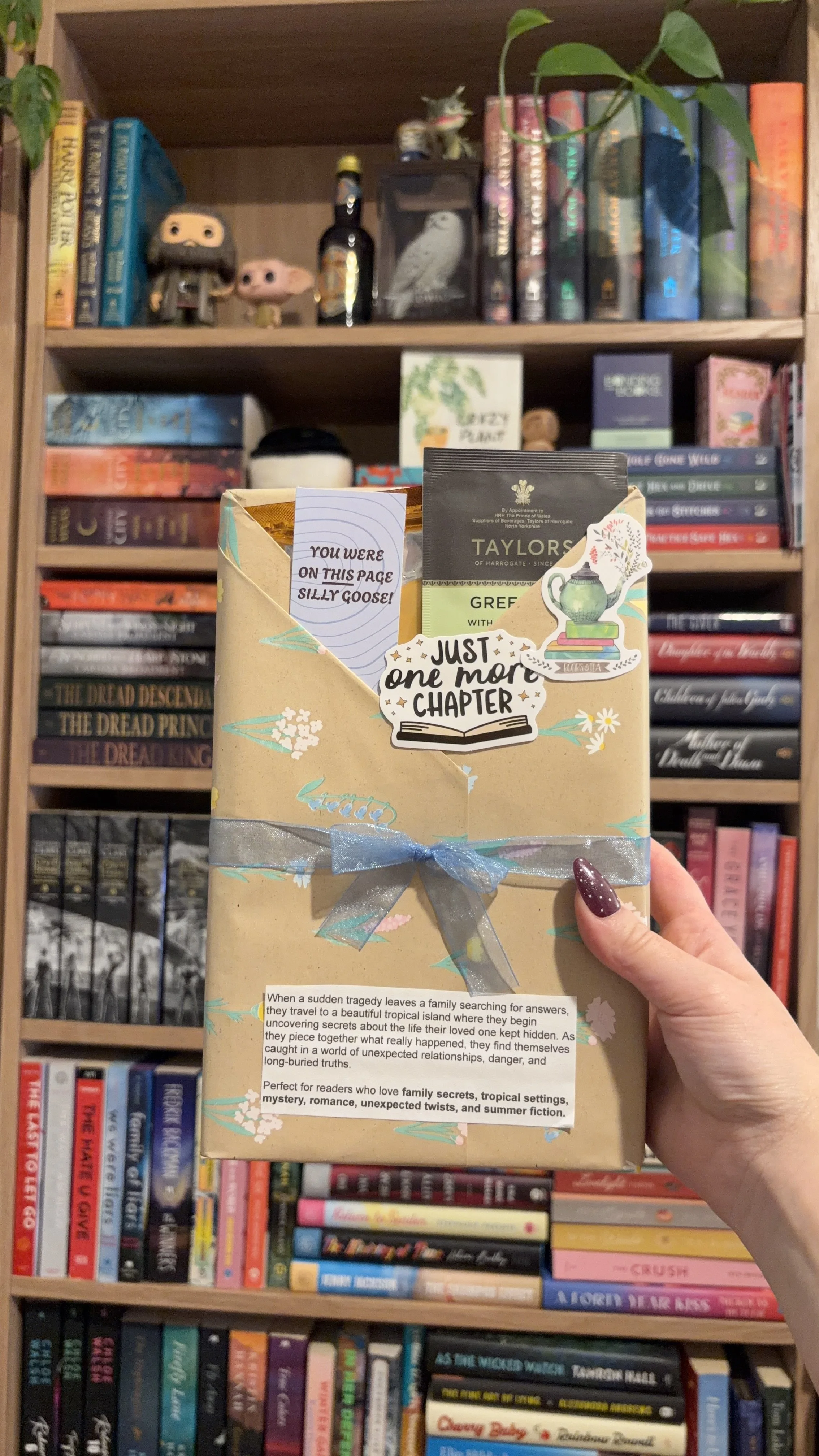 Blind Date With a Book Bundles
