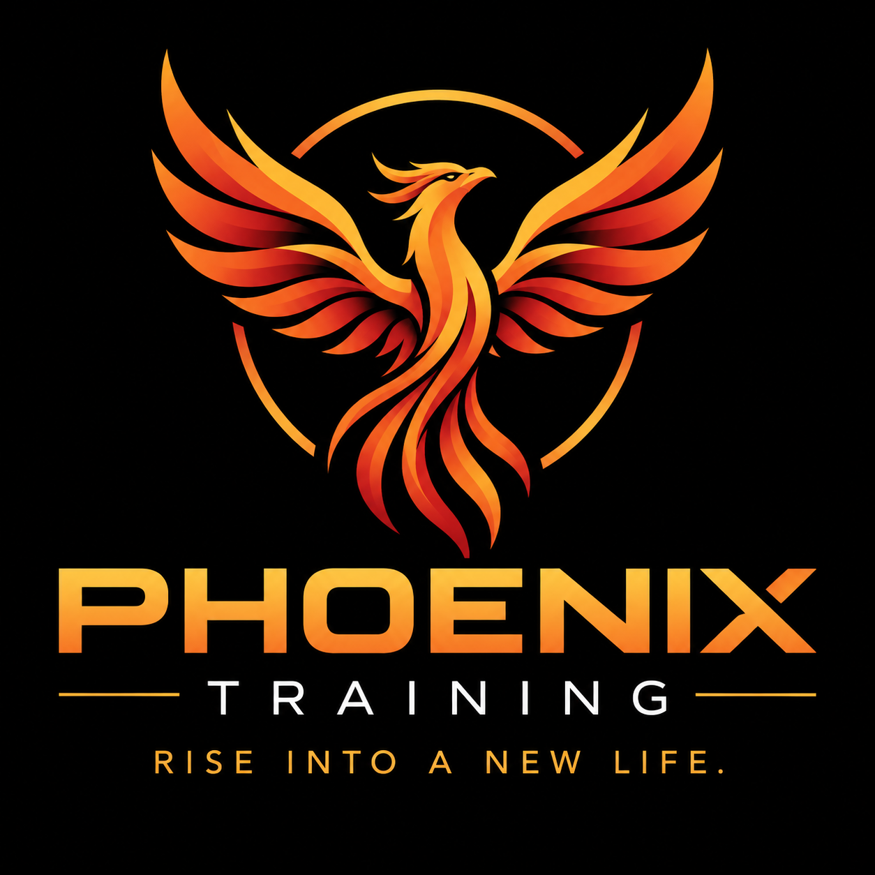 A stylized phoenix with orange and yellow flames, wings spread, inside a black background, with the words 'Phoenix Training' and the slogan 'Rise into a new life' written below.