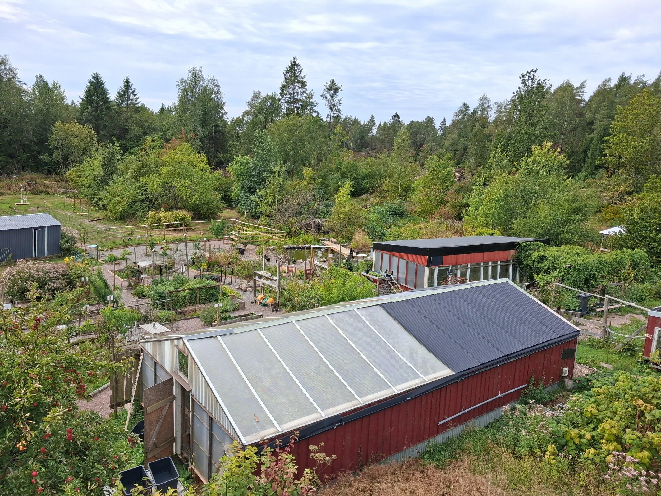 Utsikt över en trädgård med växthus och ett skogsparti i bakgrunden, molnig himmel.