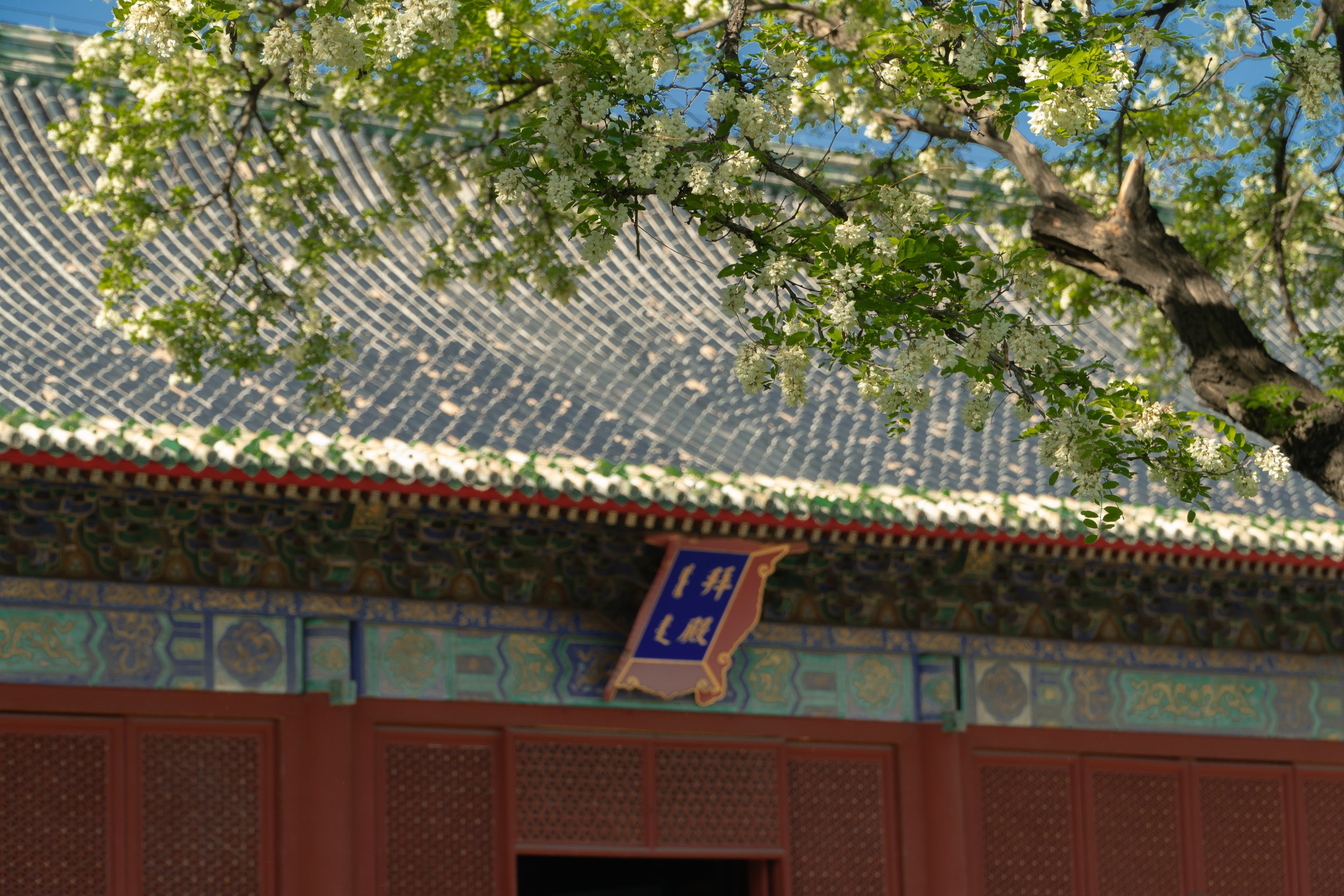 XIANNONGTAN