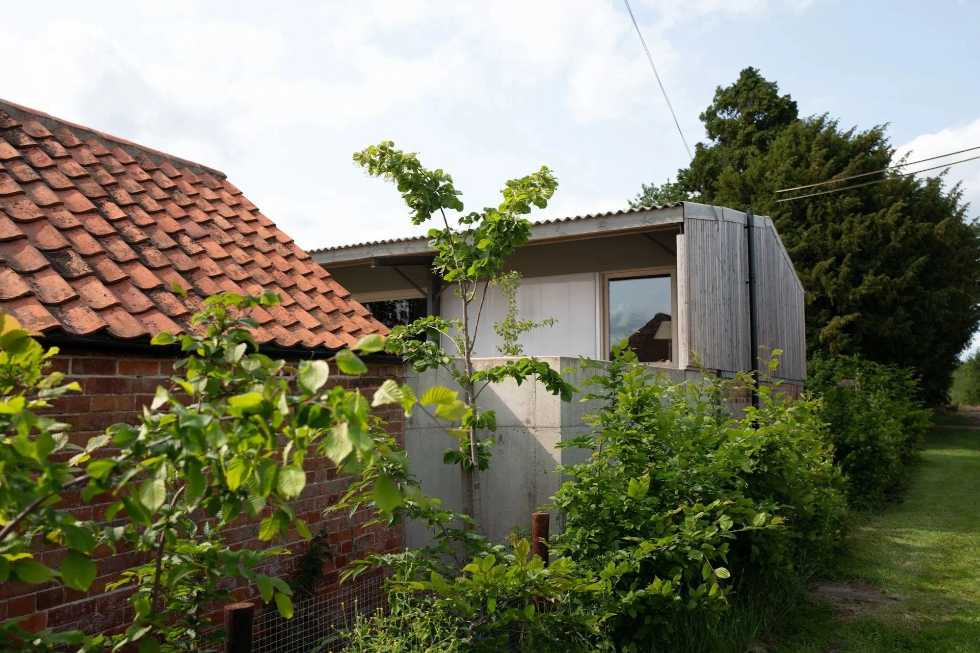 Residential backyard with a red clay tile roof, brick wall, modern extension, trees, and lush greenery