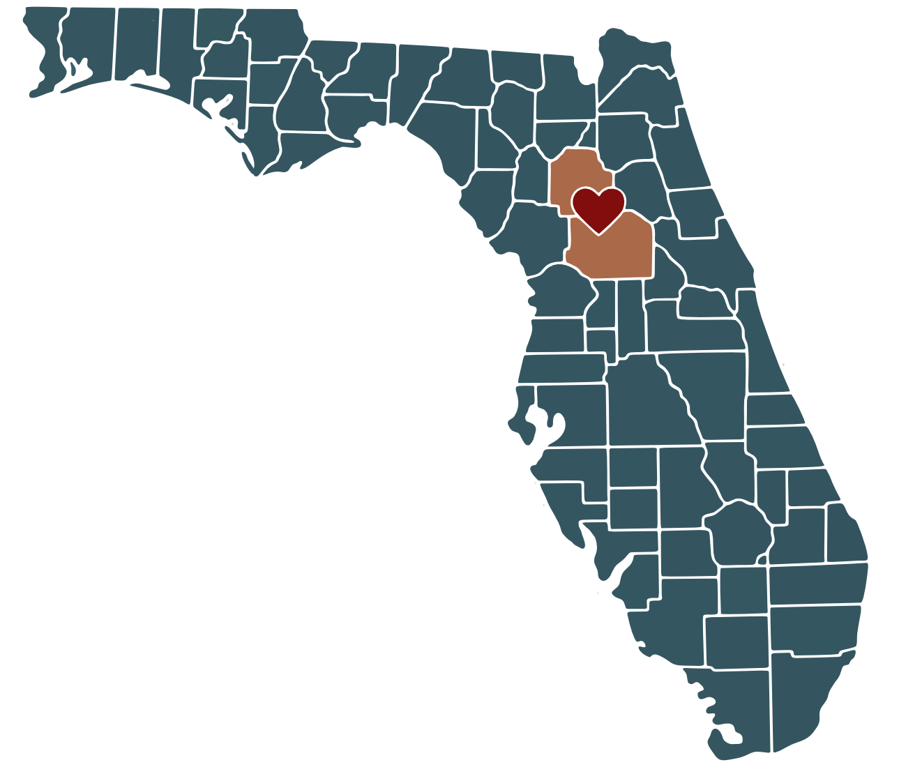 Abstract map of Florida with a red heart over Marion and Alachua counties