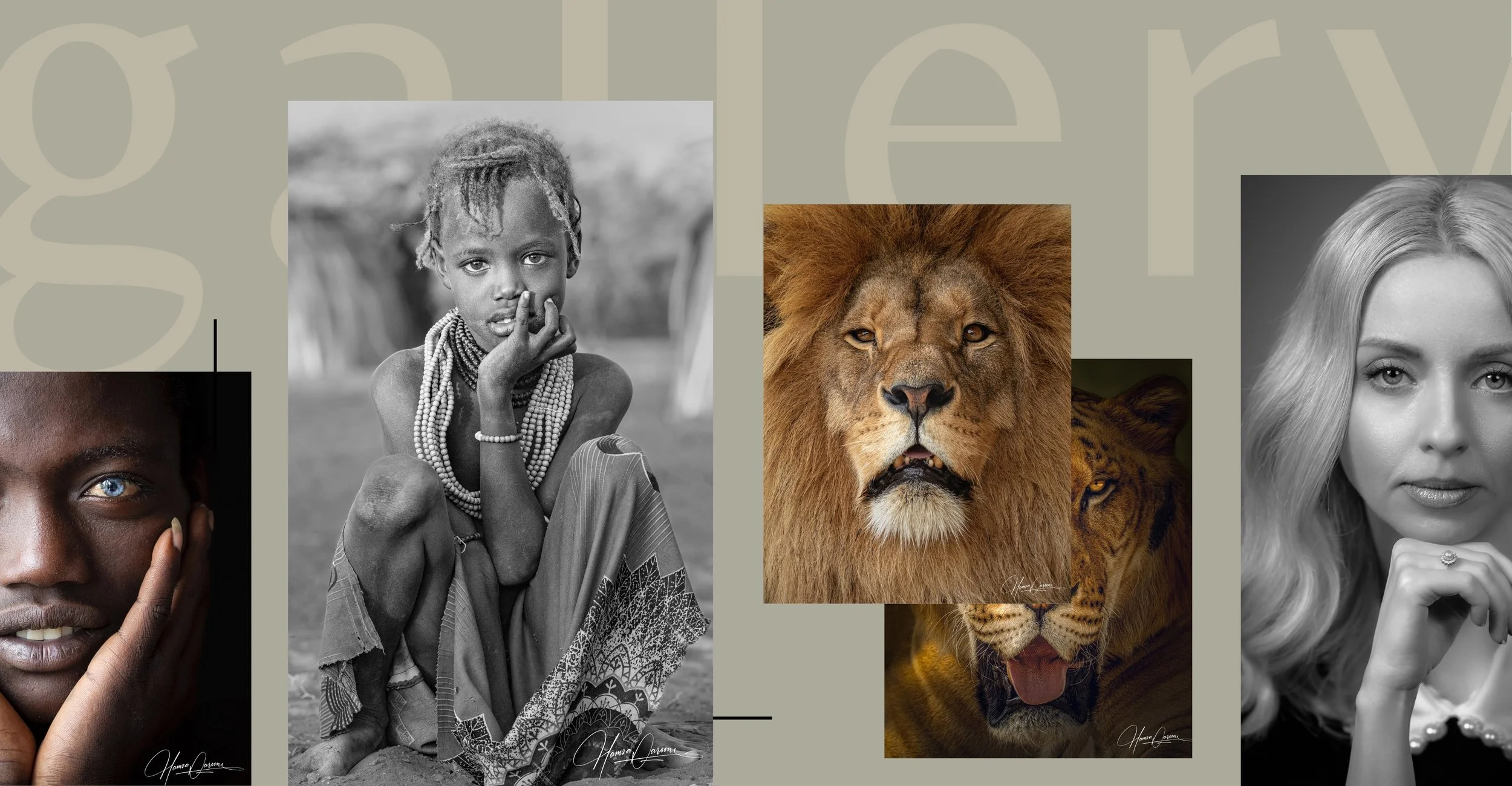 A collage of four portraits featuring people with different backgrounds and an image of a lion, with a gray background and faint text.