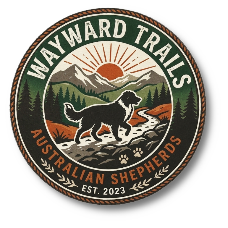 Wayward Trails Australian Shepherds