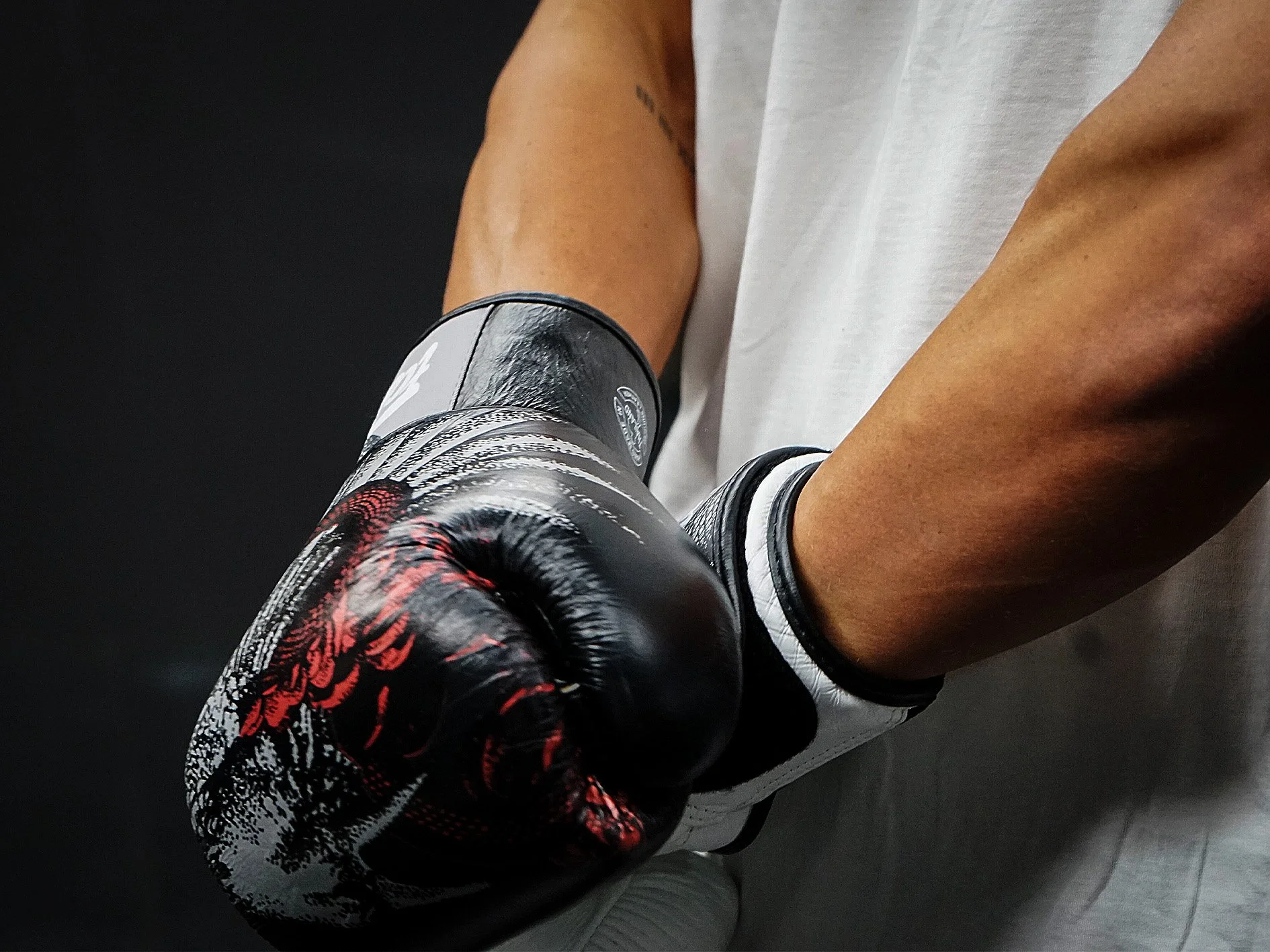 gloves 2.jpg