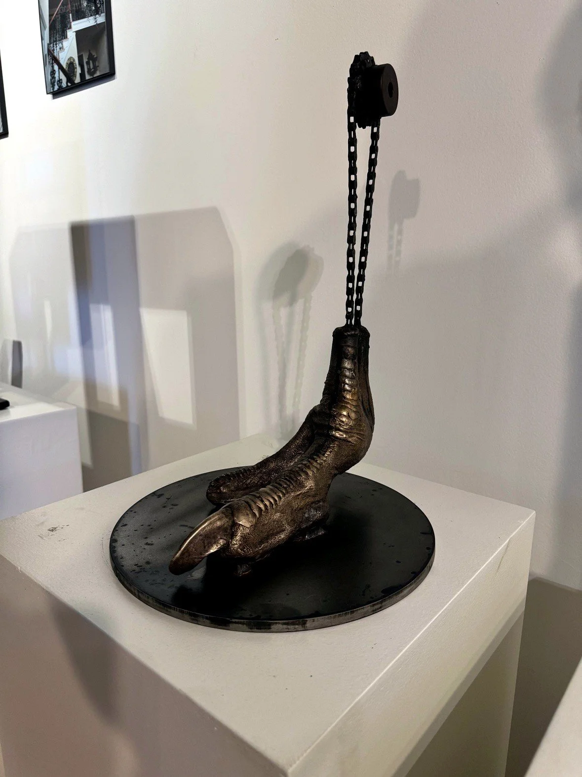 Bronze claw and chain