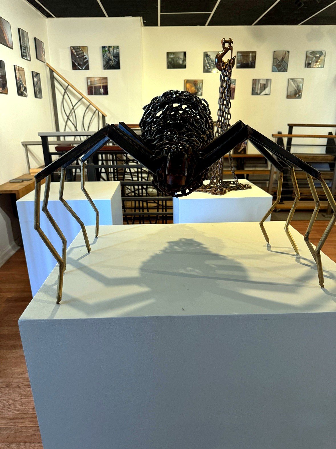 Chain spider, in the gallery