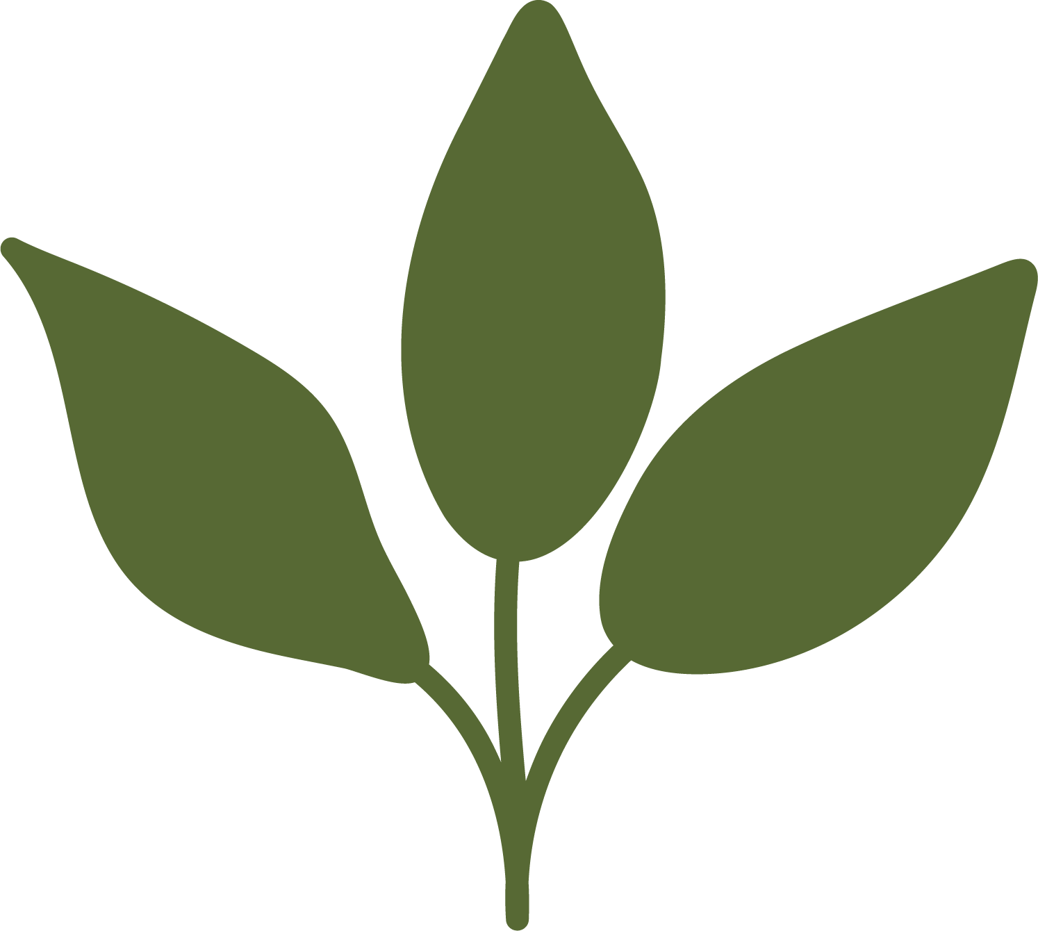 Simple graphic of a green plant with three leaves on a black background.