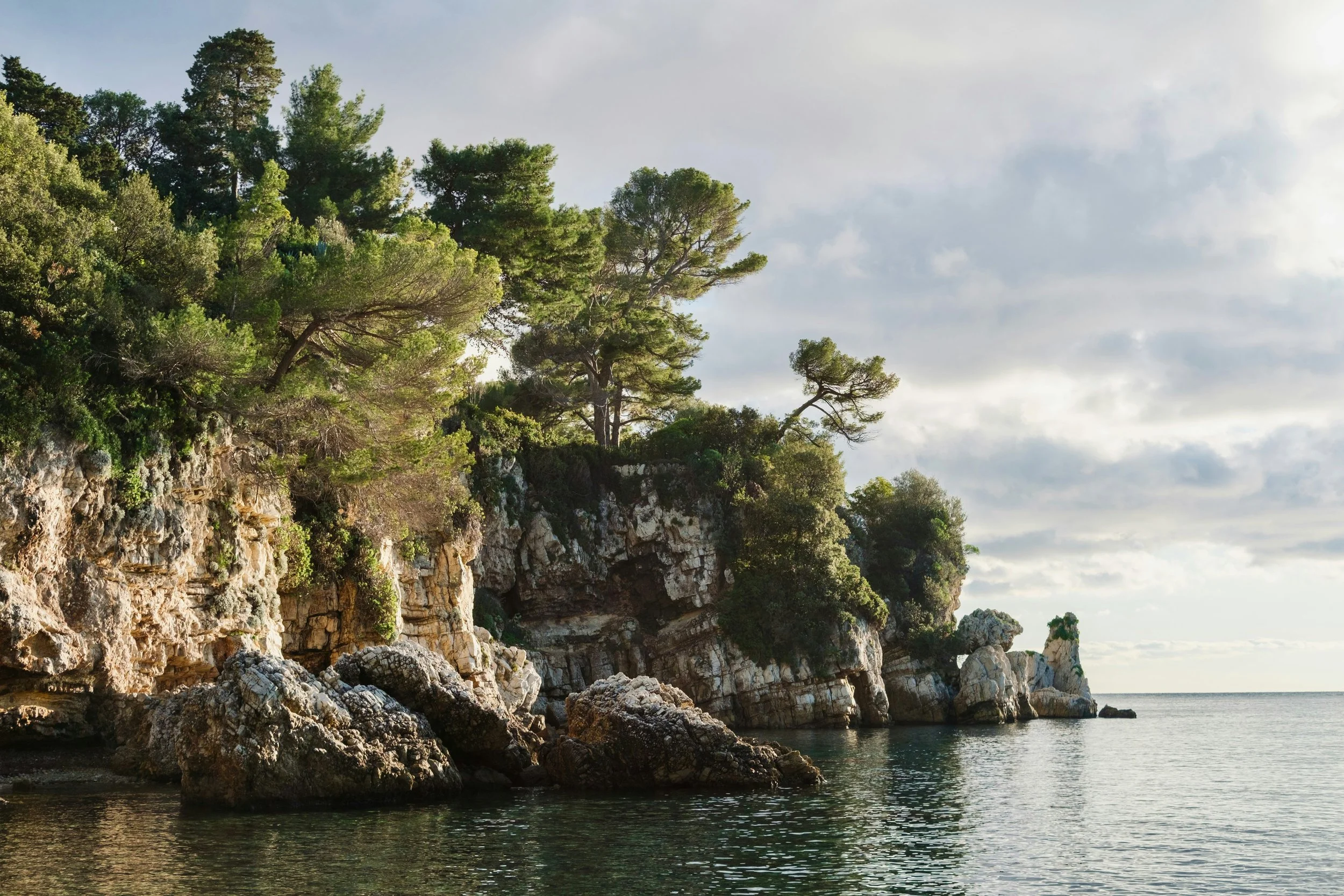 Cliffside with trees overlooking a body of water during cloudy weather.