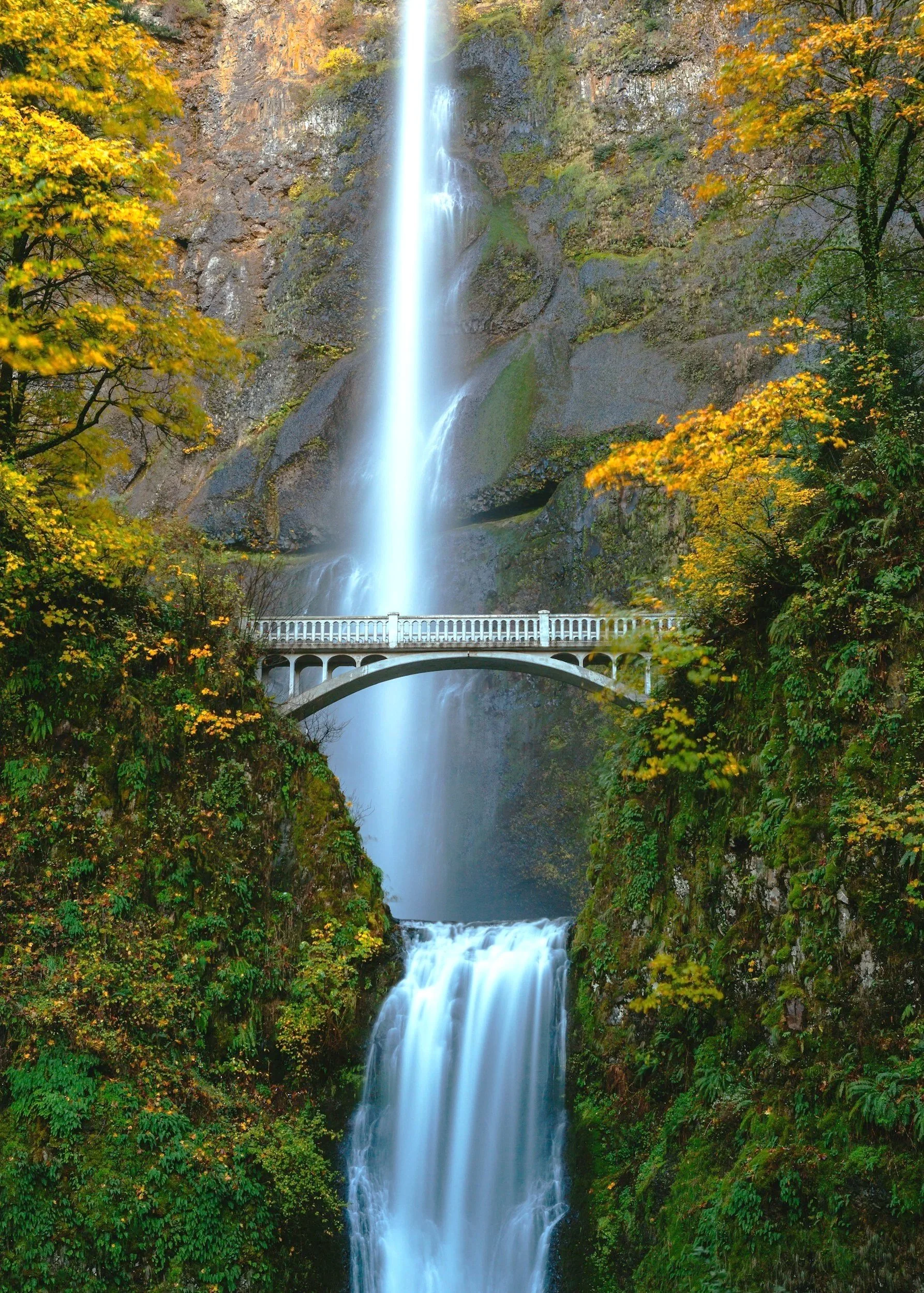 Tall waterfall cascading through a lush forest with autumn foliage and a pedestrian bridge at its base.