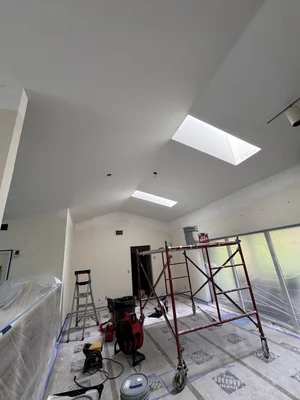 Roof Leak Repair and Ceiling Restoration, photo 3