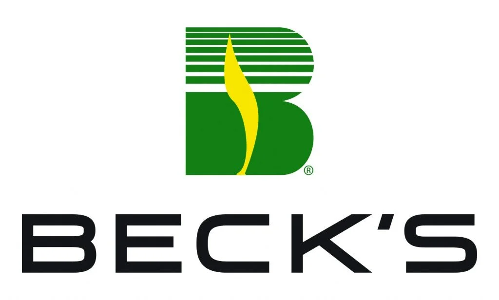Beck's logo with a green and yellow stylized design and the brand name in black text.