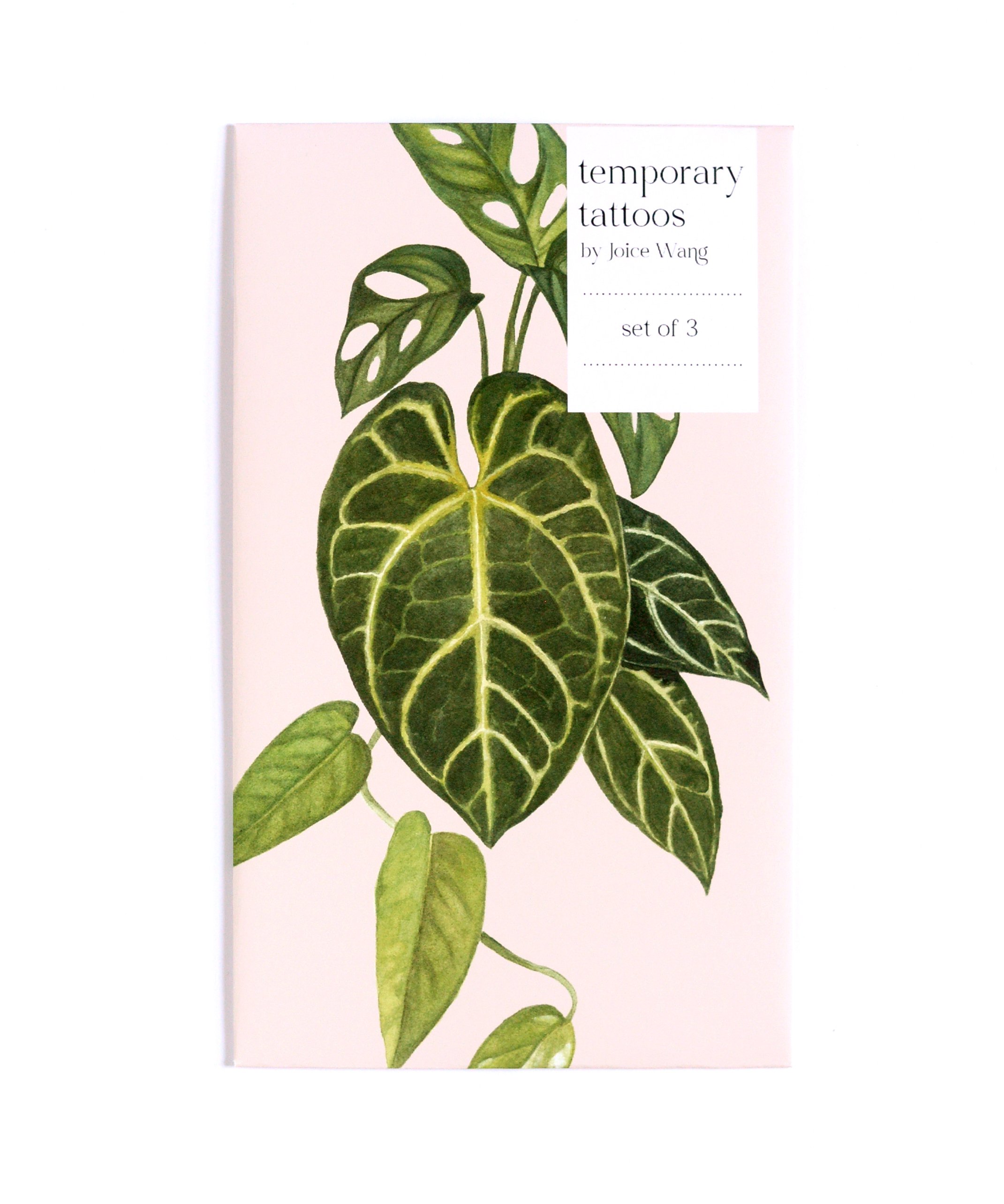 leafpackaging.jpg