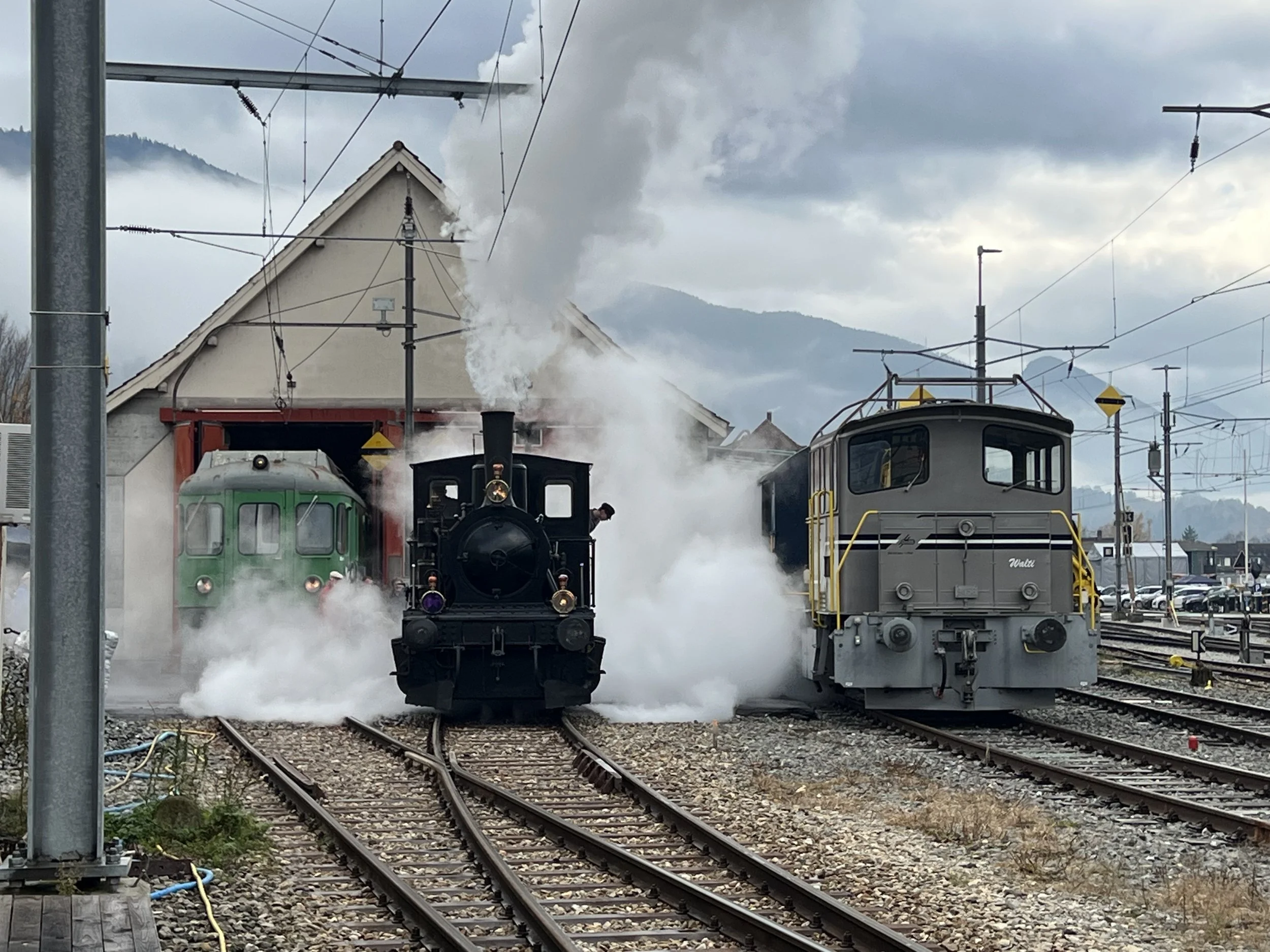 Zwei Züge stehen auf parallelen Gleisen an einem Bahnübergang, bei einem fahren Dampf und Rauch auf, im Hintergrund Berge und ein bewölkter Himmel.