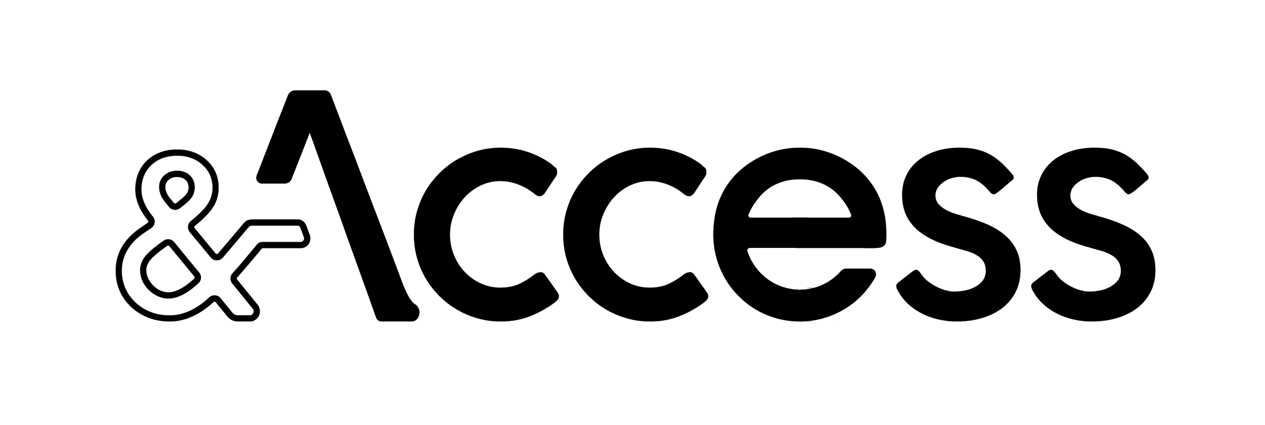 Acces logo with a stylized globe and human figure to the left of the text 'ACCESS'