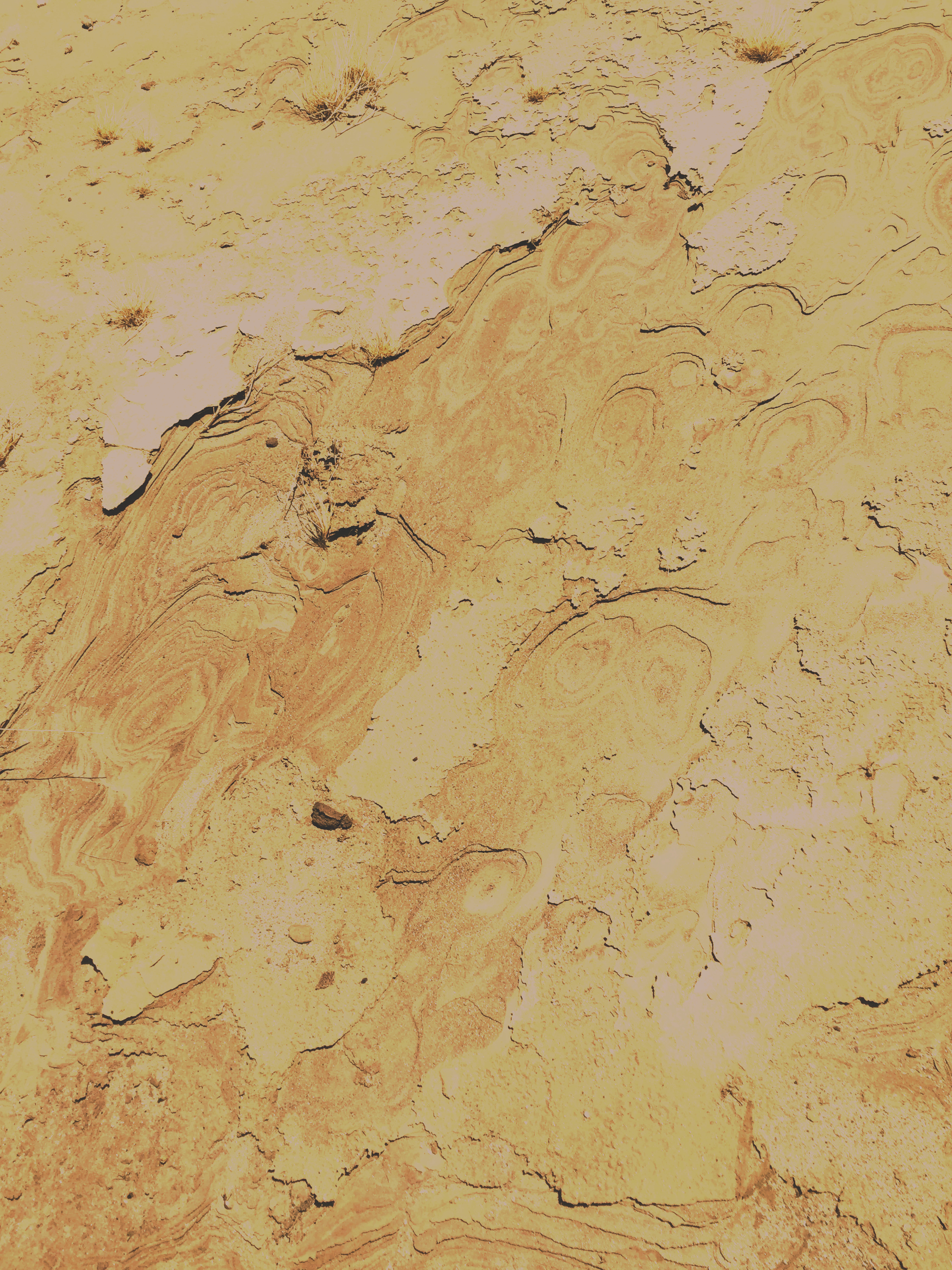 Close-up of a textured, layered rock surface with various cracks, lines, and small patches of dried grass.