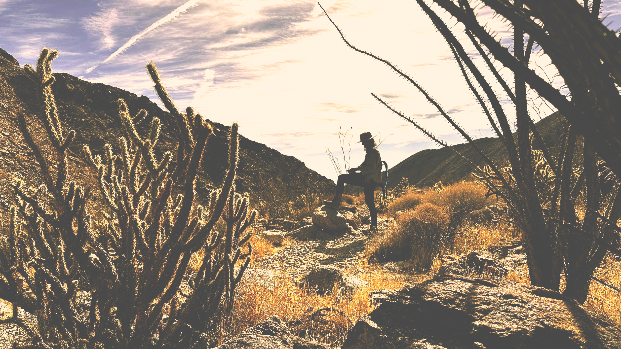 A person sitting on a rock with a hat in a desert landscape during sunset, surrounded by desert cacti and dry grasses, mountains in the background, with a partly cloudy sky.