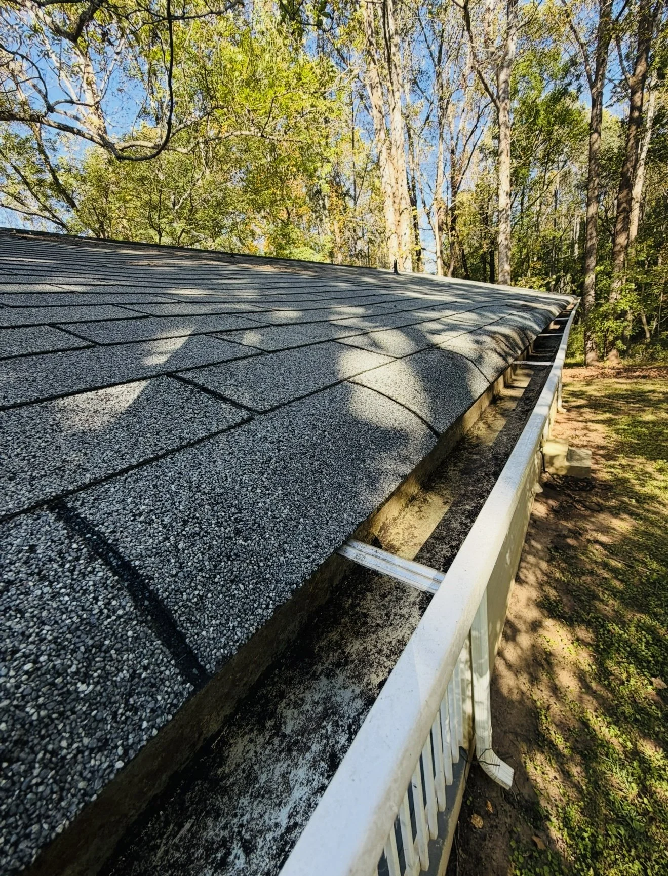 Close-up view of a house roof with asphalt shingles in a wooded area during daylight, with trees and a blue sky in the background.