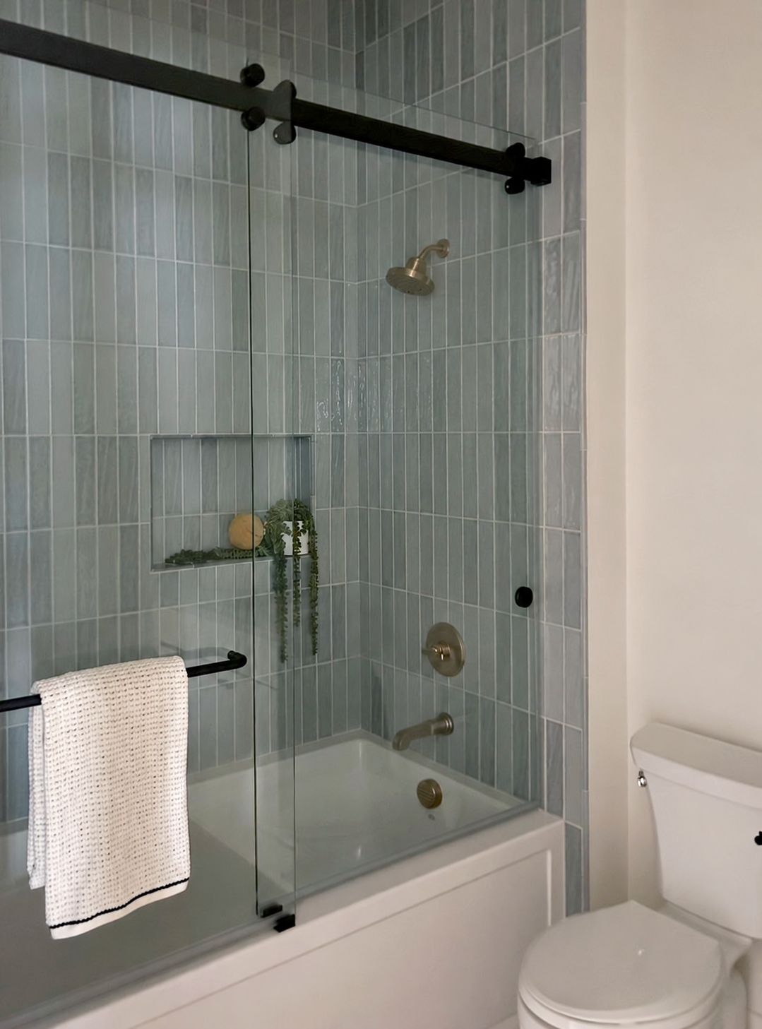 Bathroom wall cleared above the toilet.png