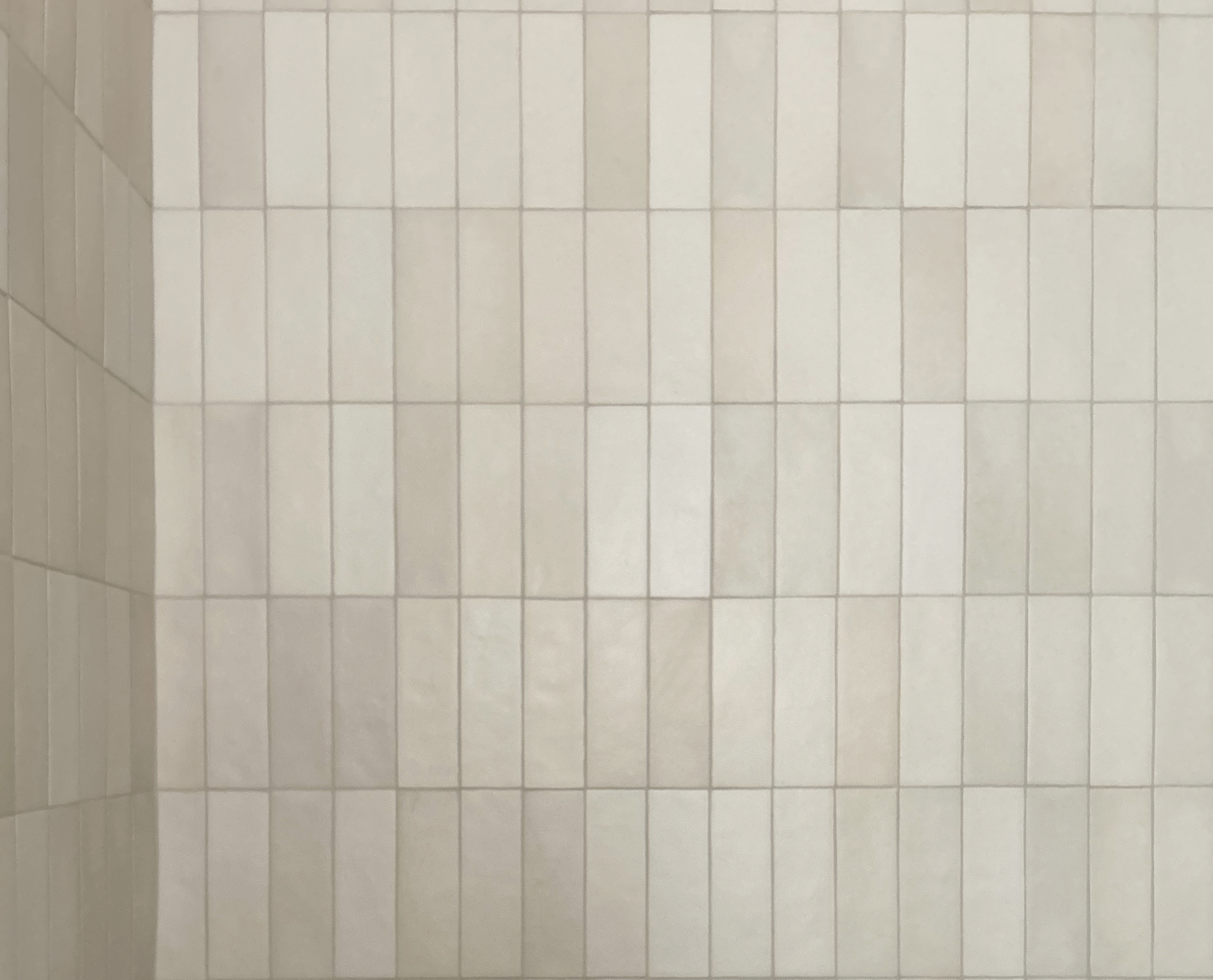 guestbath1.png